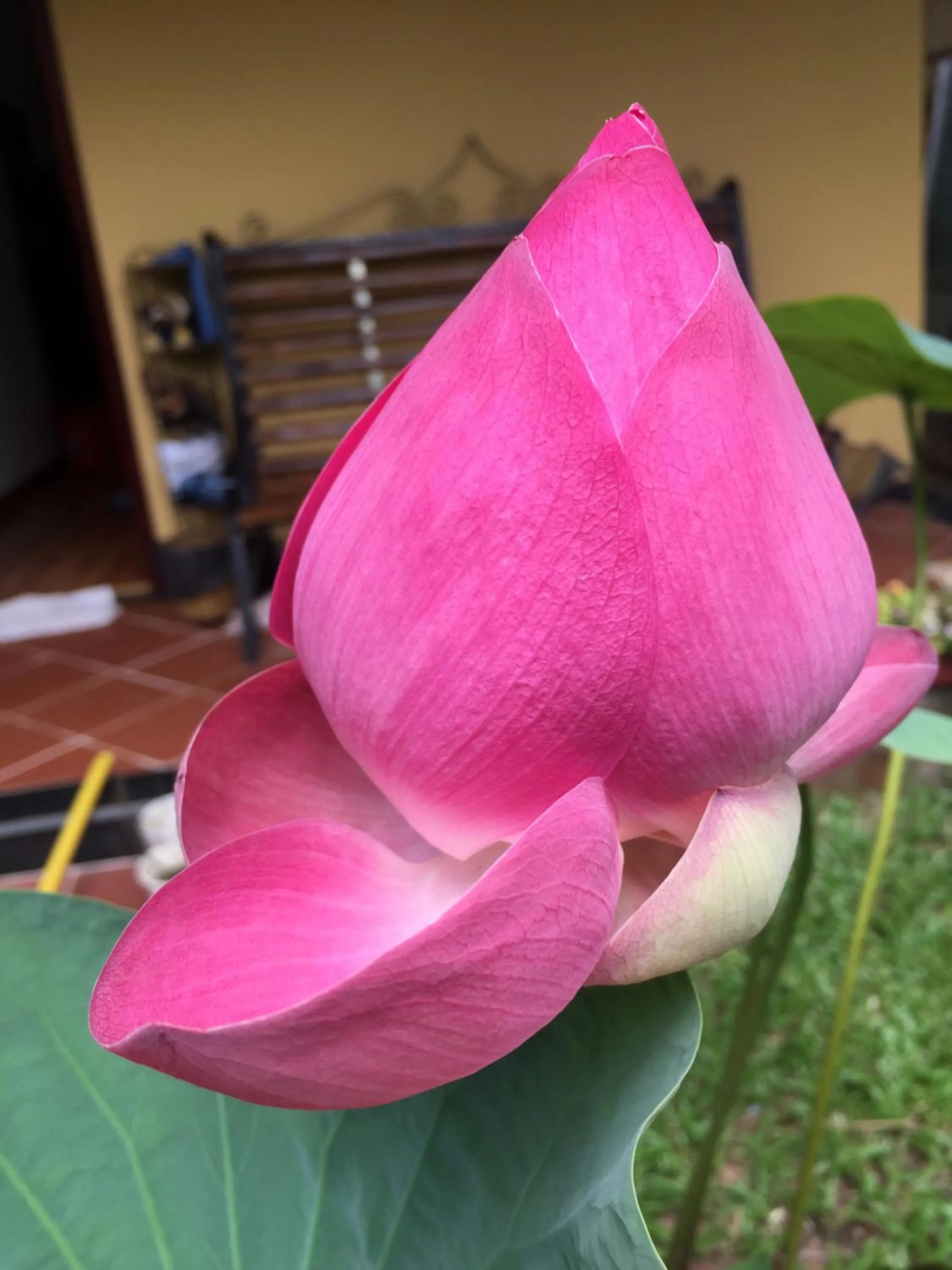 On site in Tropical Garden Phu Quoc