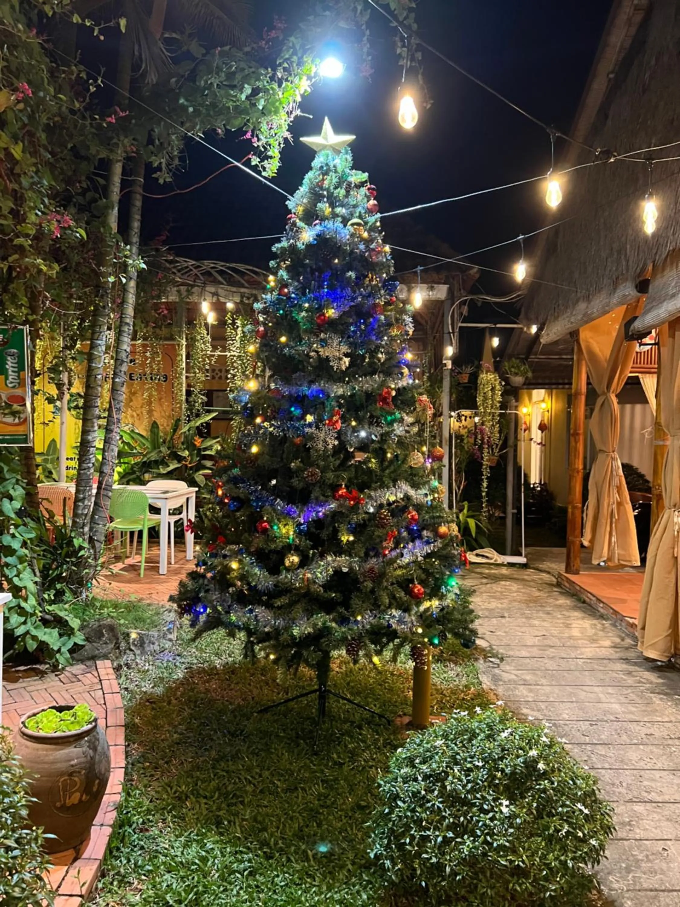 Night in Tropical Garden Phu Quoc