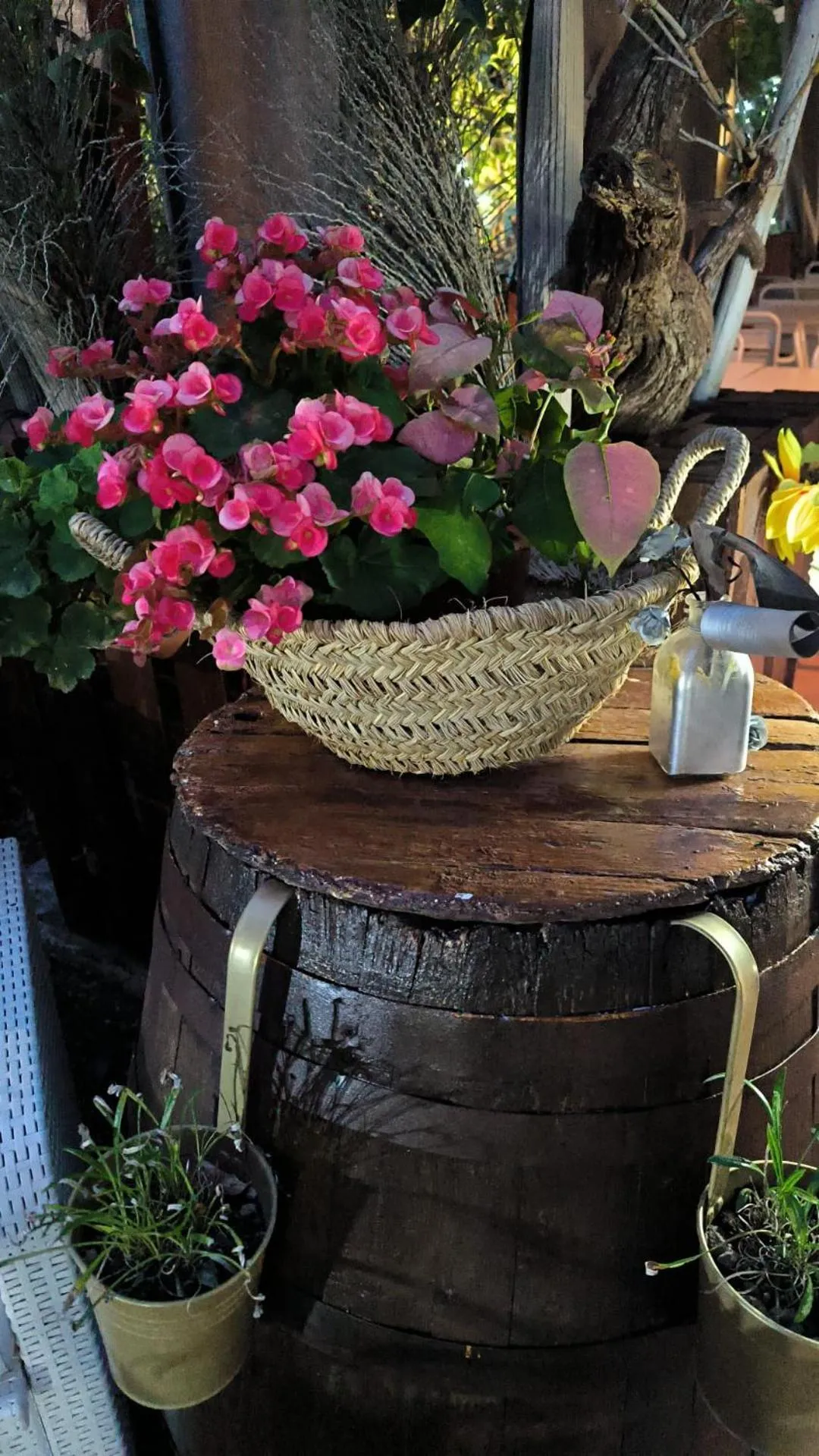 Garden in Hotel Rural La Raya 1866