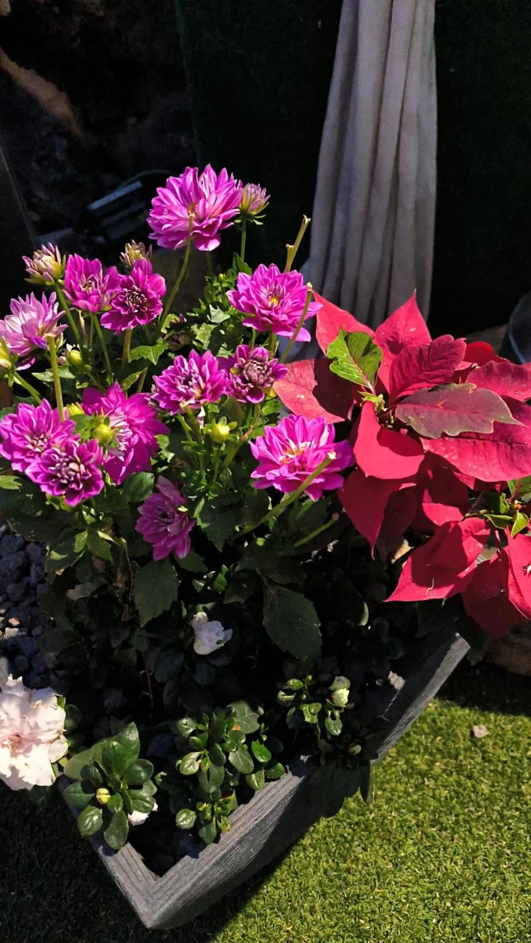 Garden in Hotel Rural La Raya 1866