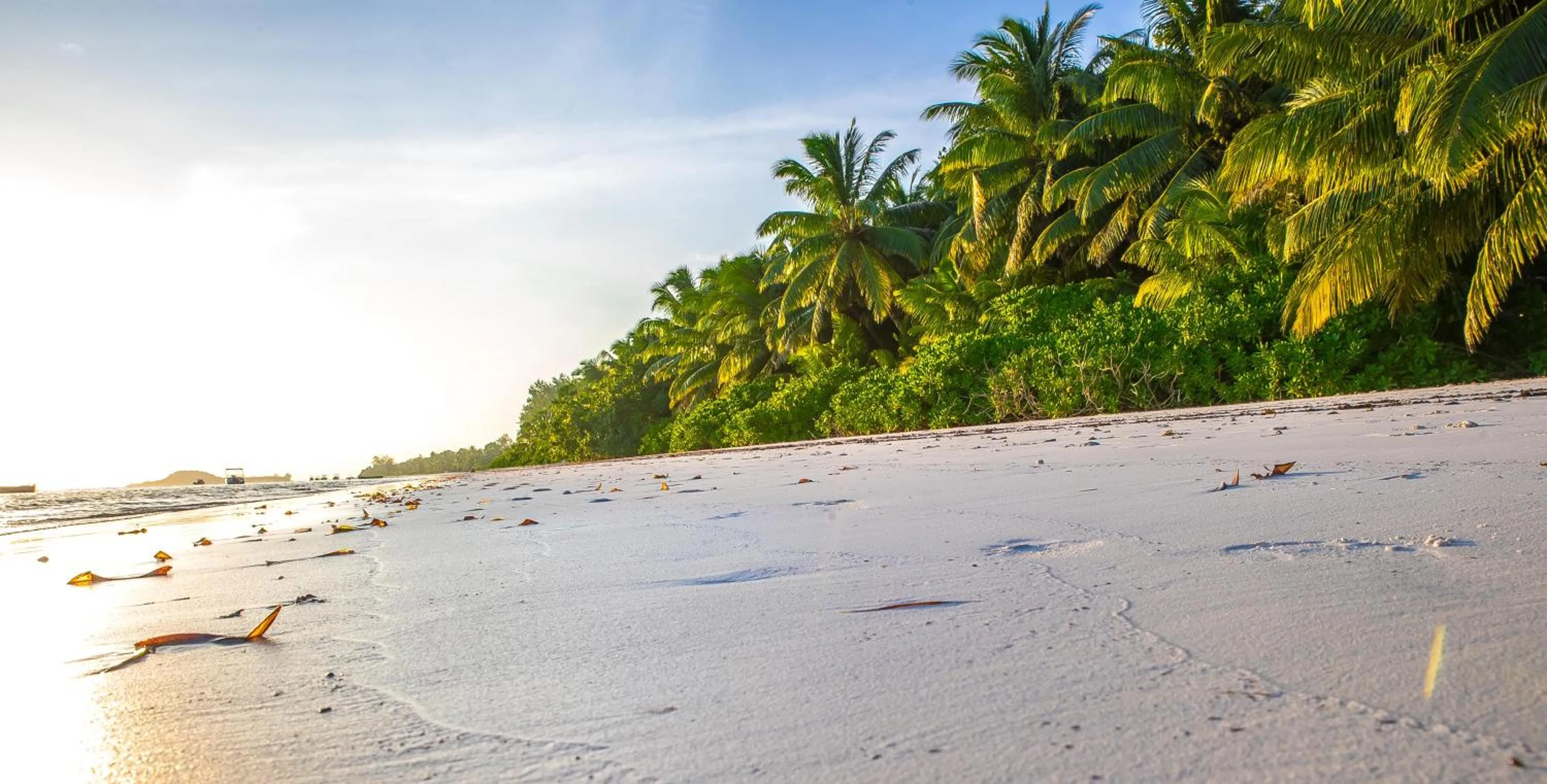 Off site in Oasis Hotel Restaurant & Spa