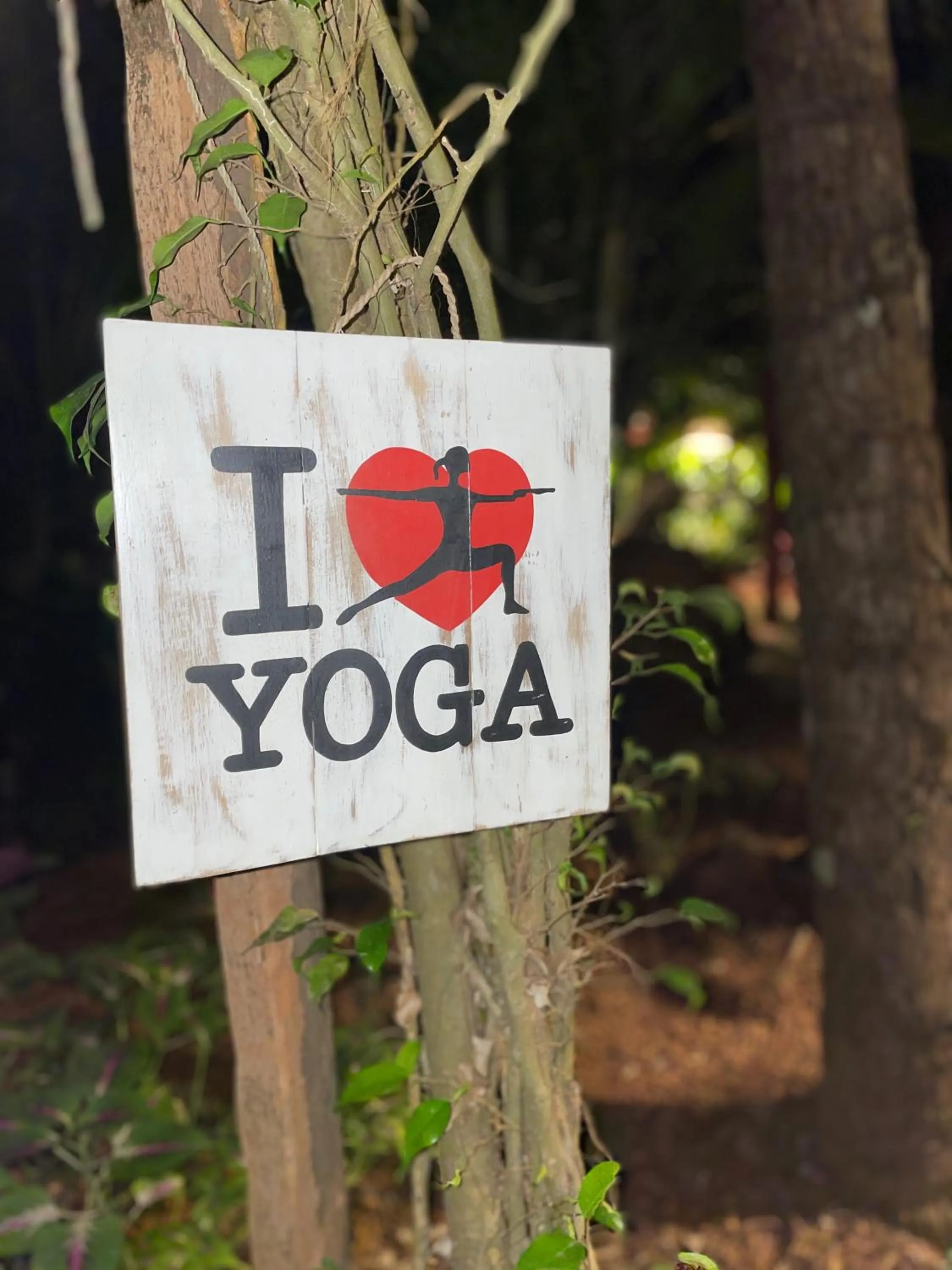 Activities in Palm Trees Ayurvedic Heritage