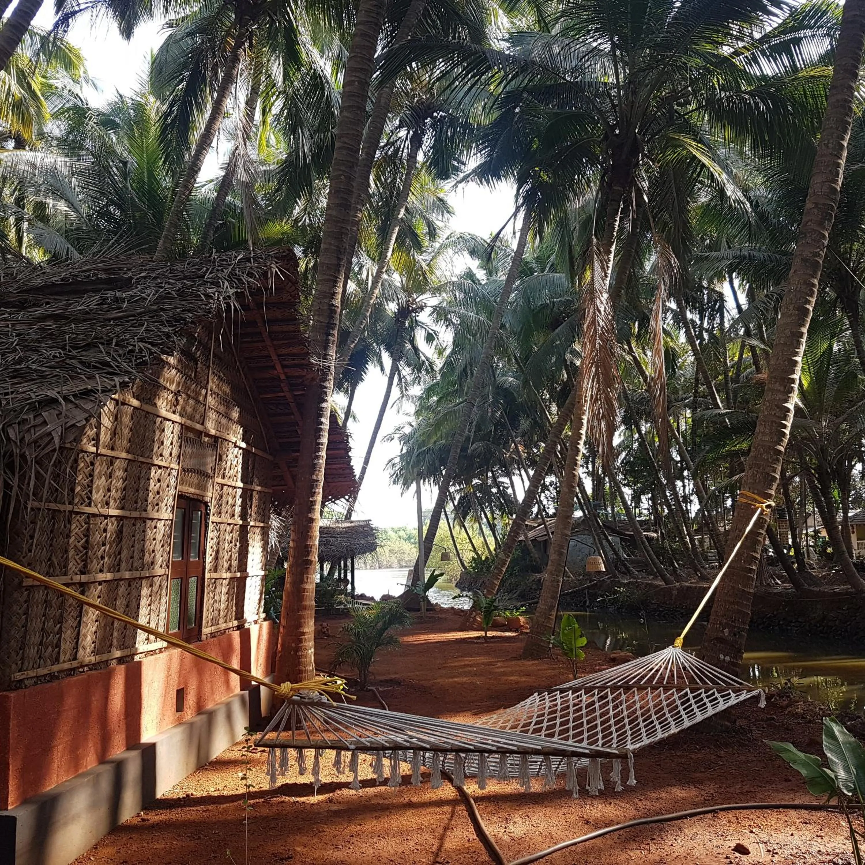 Natural landscape in Palm Trees Ayurvedic Heritage