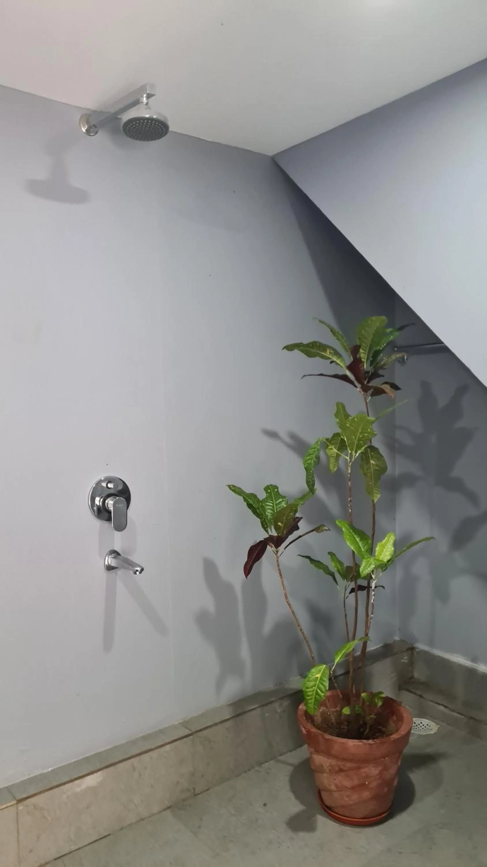 Bathroom in Palm Trees Ayurvedic Heritage