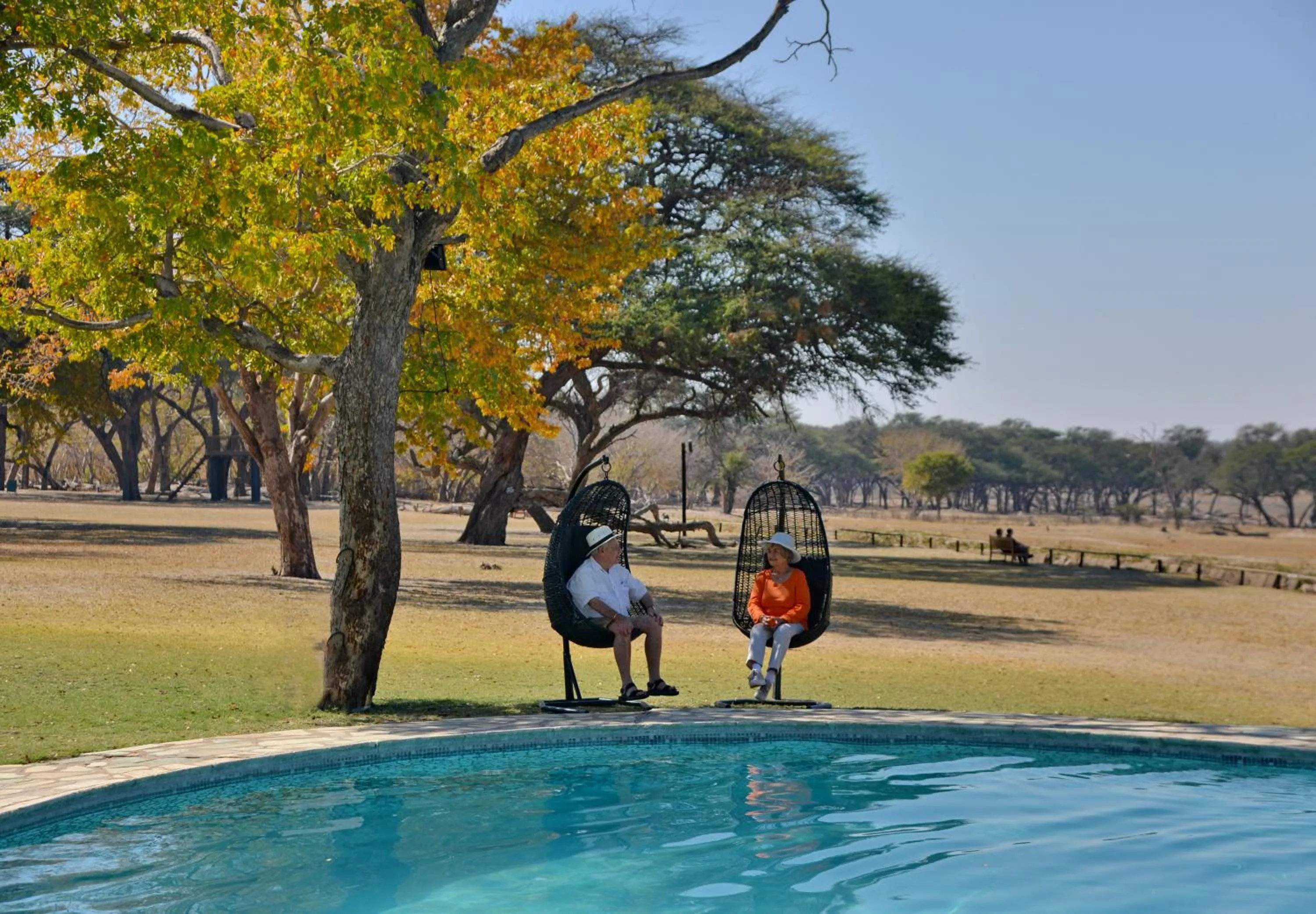 Day in Hwange Safari Lodge