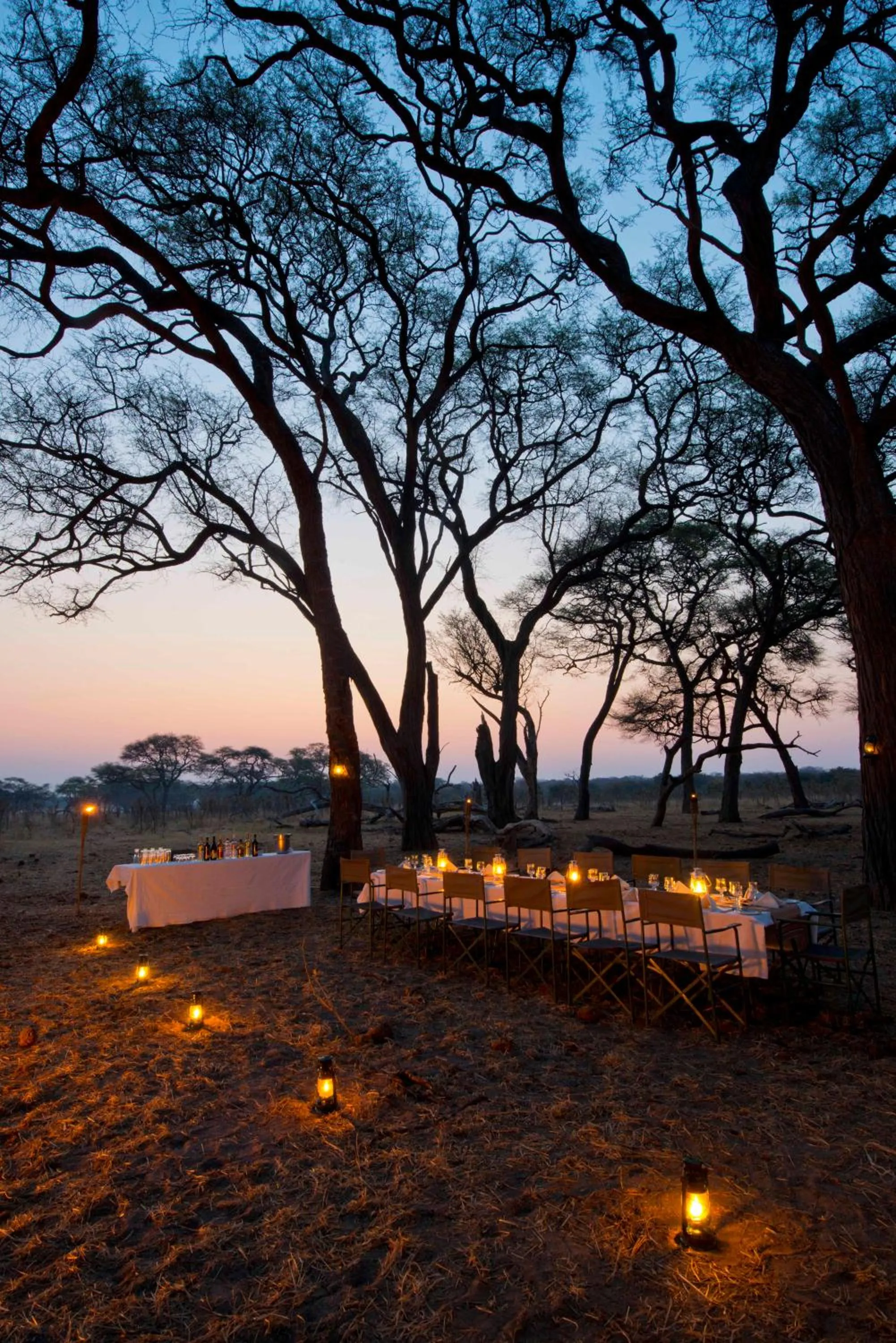 Other in Hwange Safari Lodge