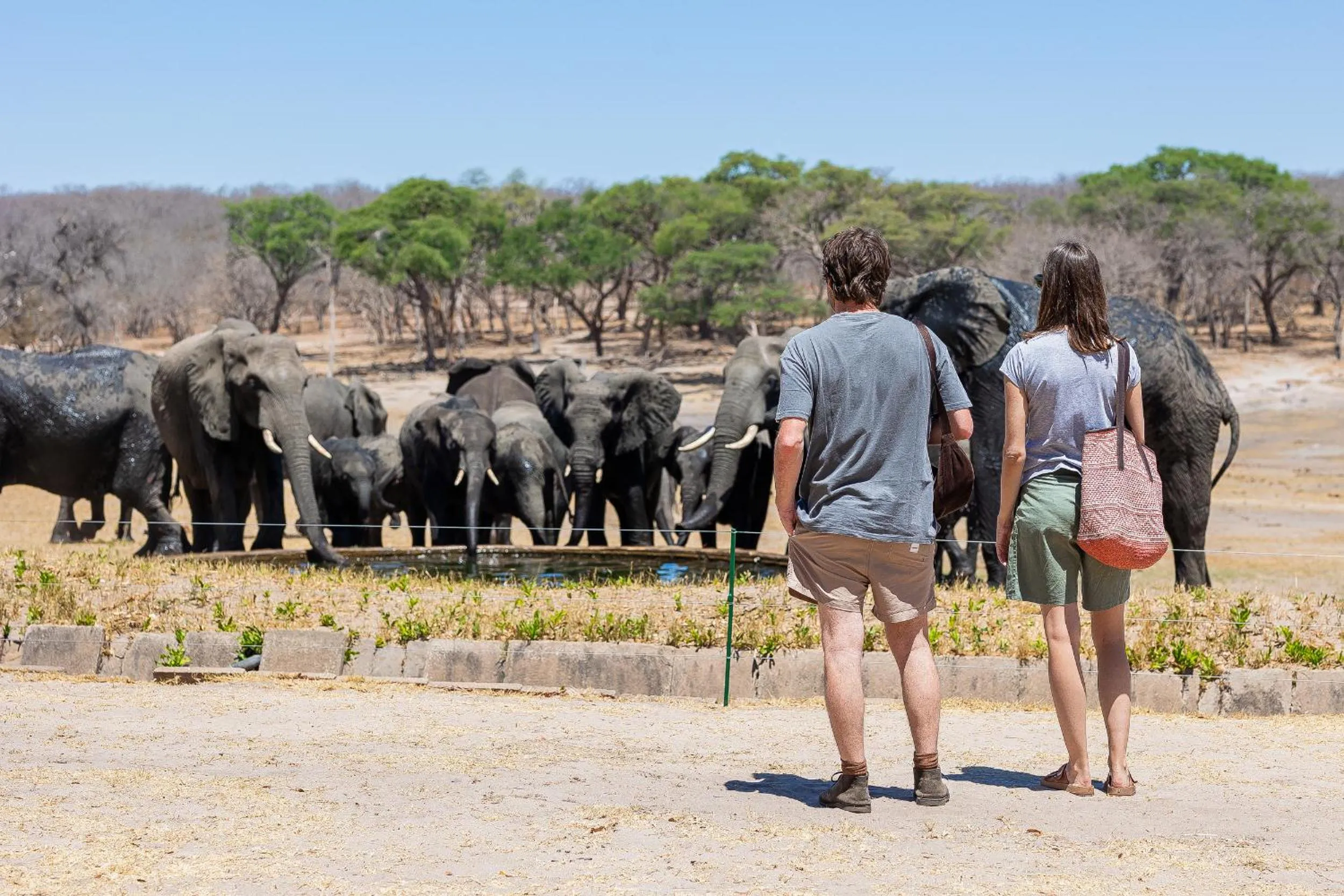 Guests in Hwange Safari Lodge