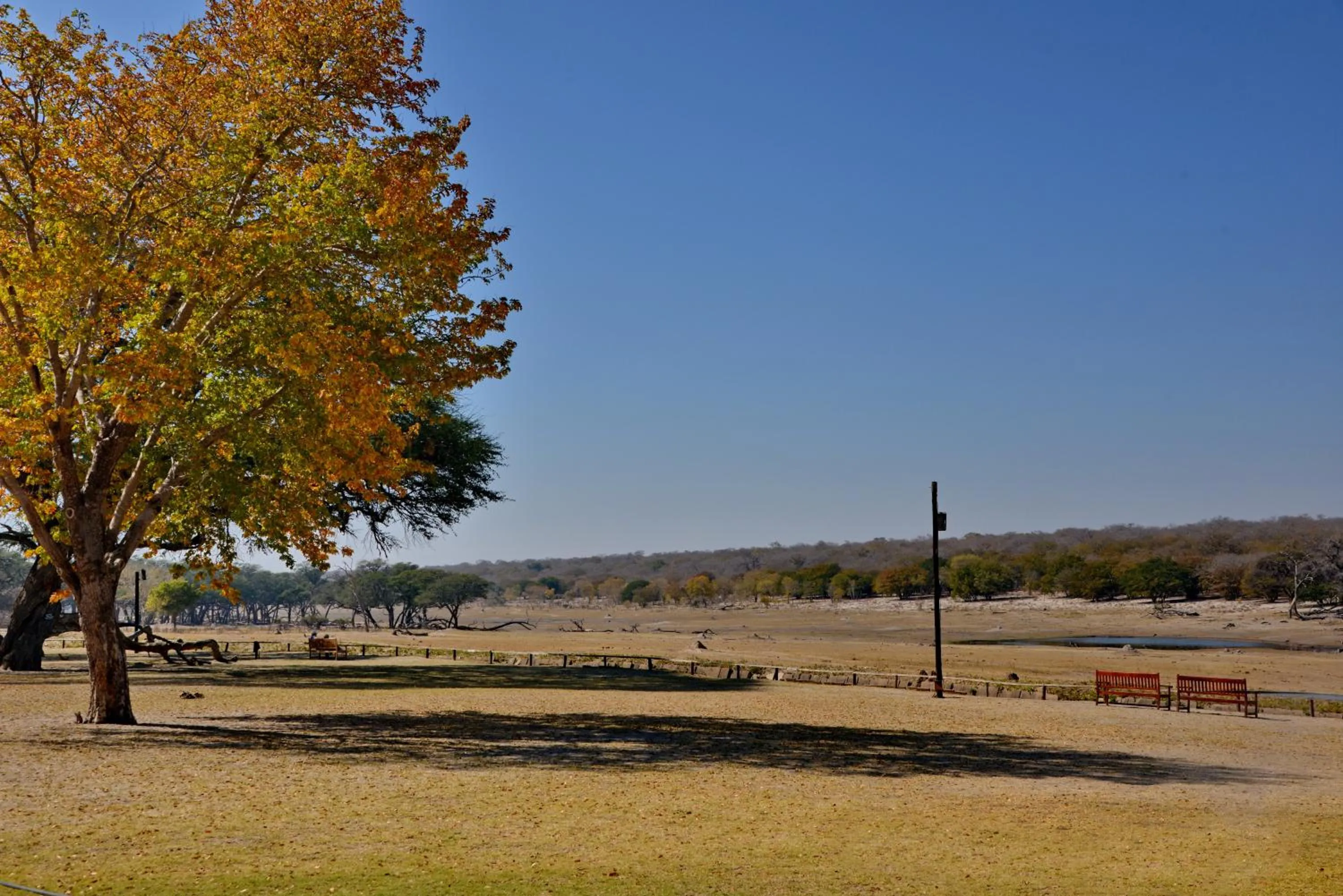 Day in Hwange Safari Lodge
