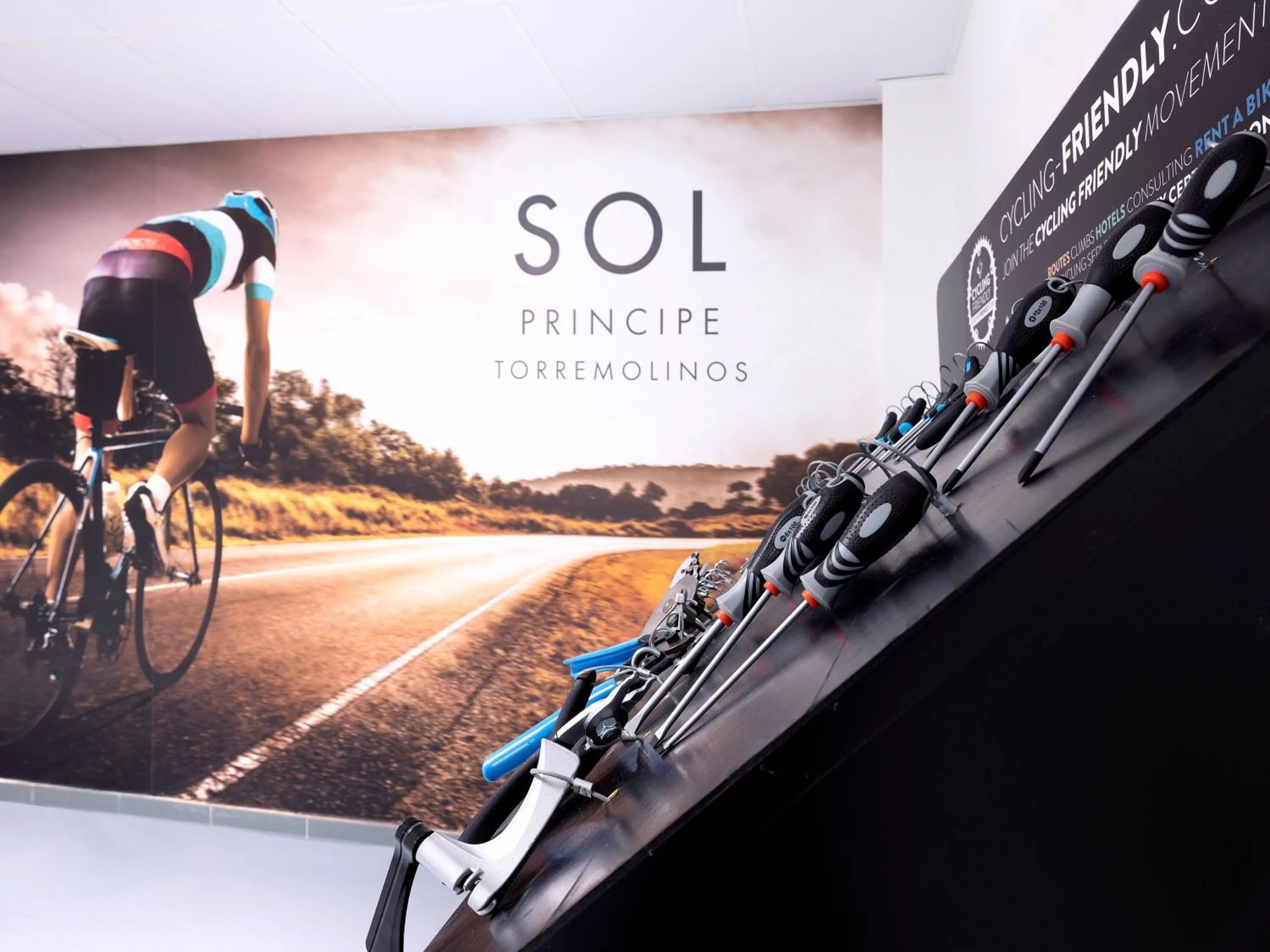 Activities in Sol Principe