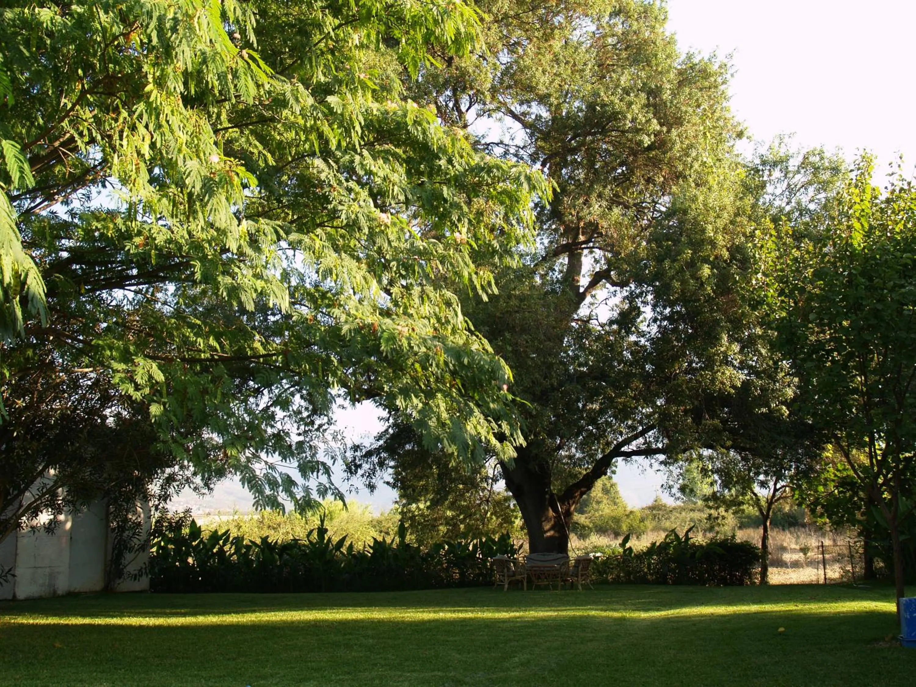 Natural landscape in Hotel Cavo Mytikas