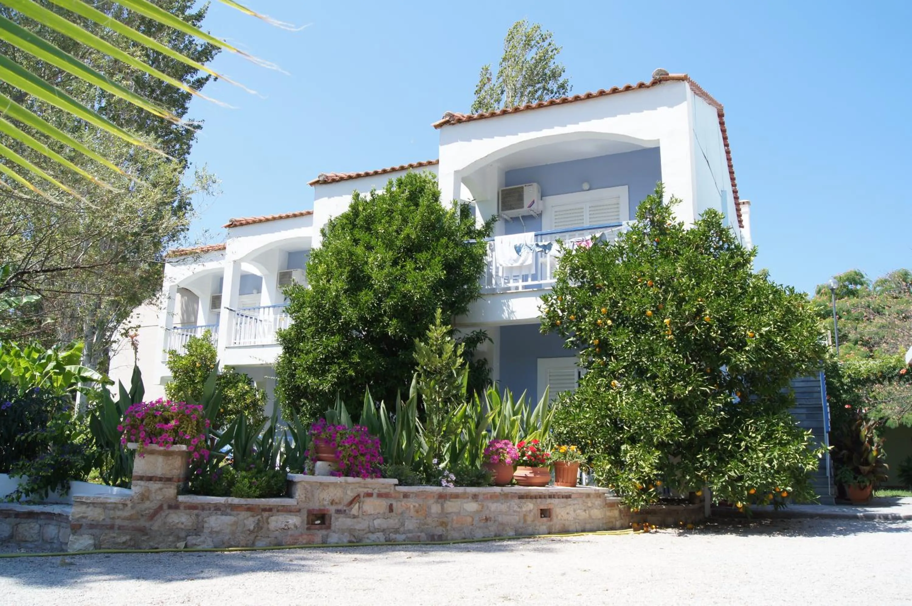 Property building in Hotel Cavo Mytikas