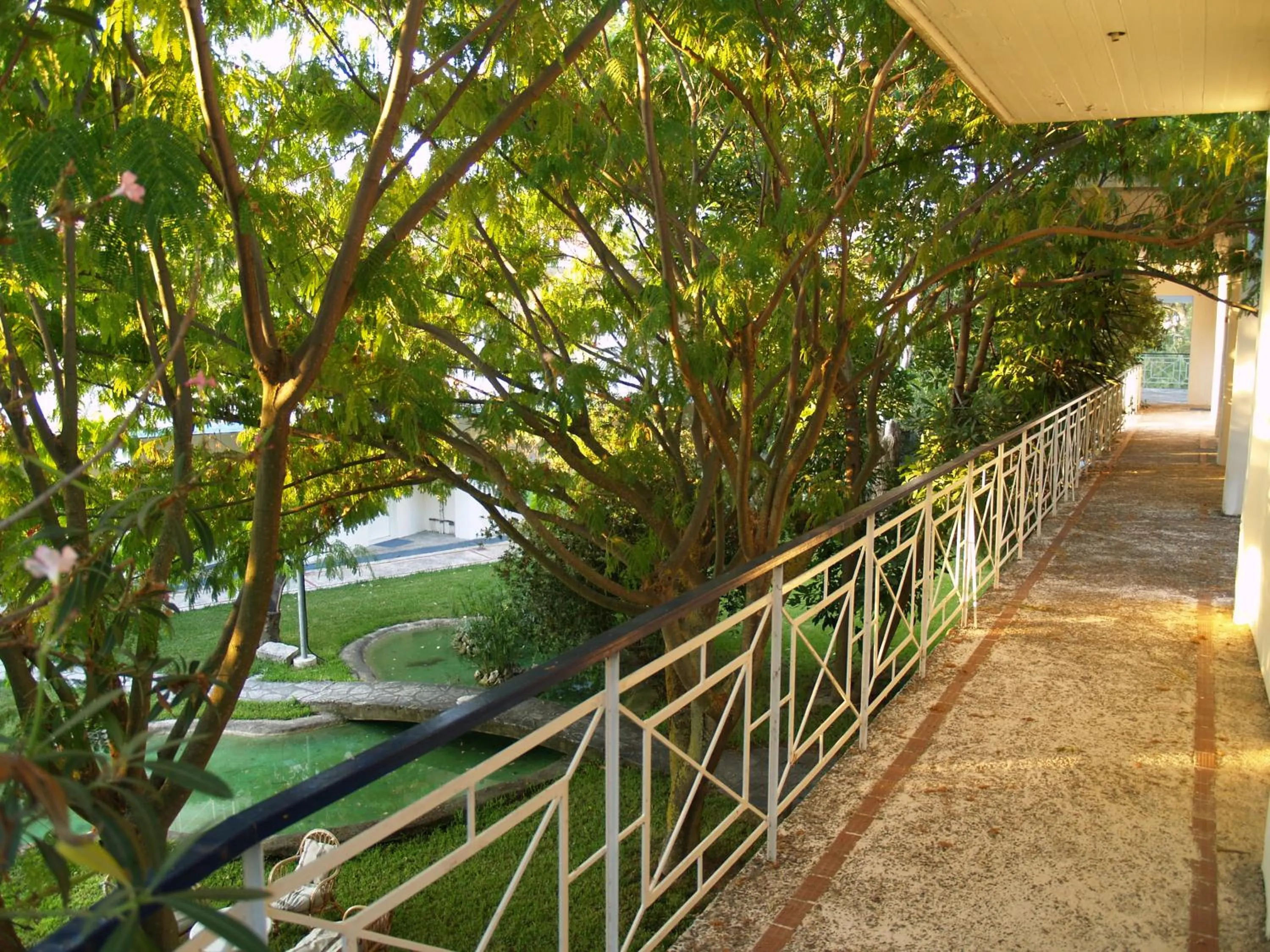 Garden in Hotel Cavo Mytikas