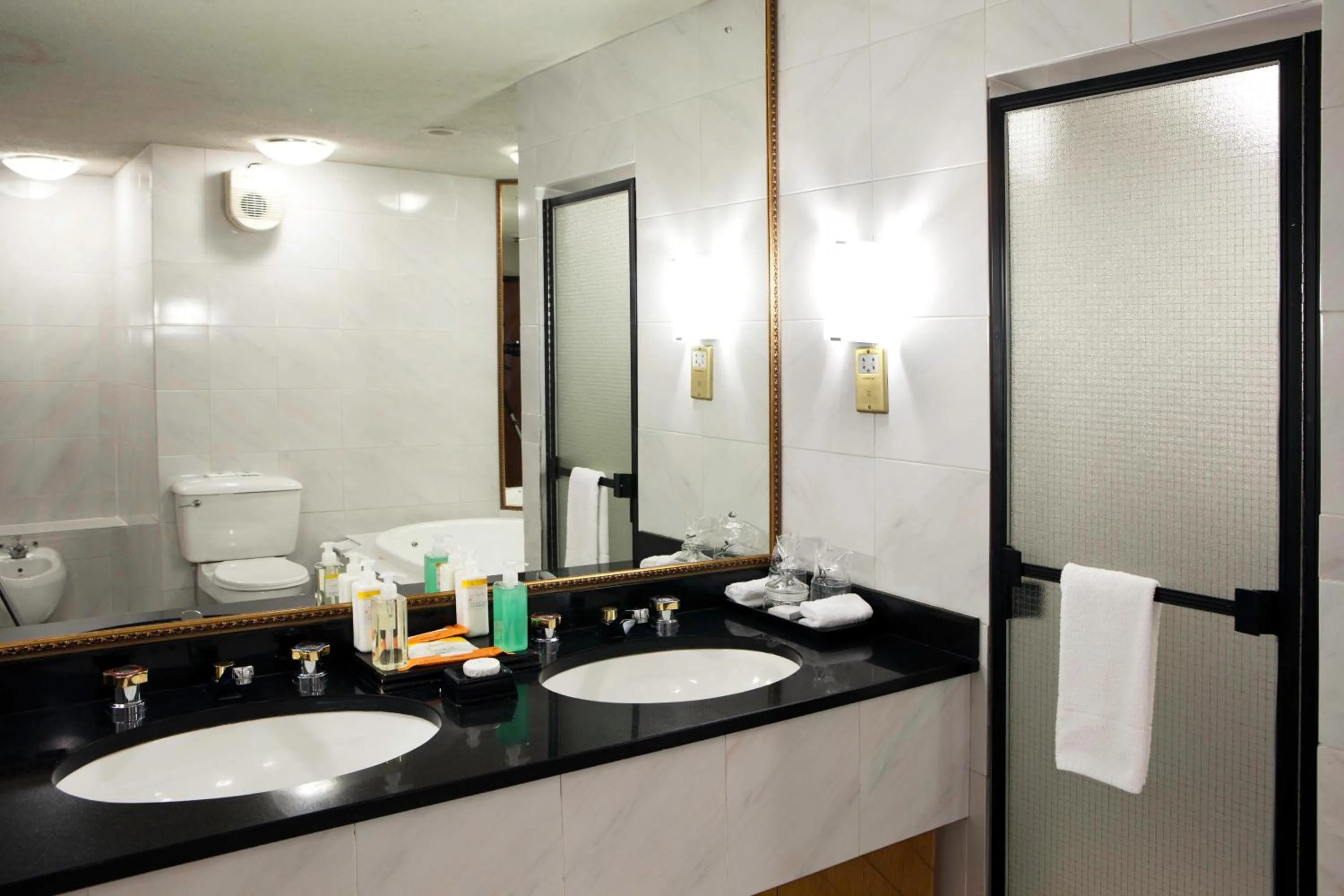 Toilet in Elephant Hills Resort