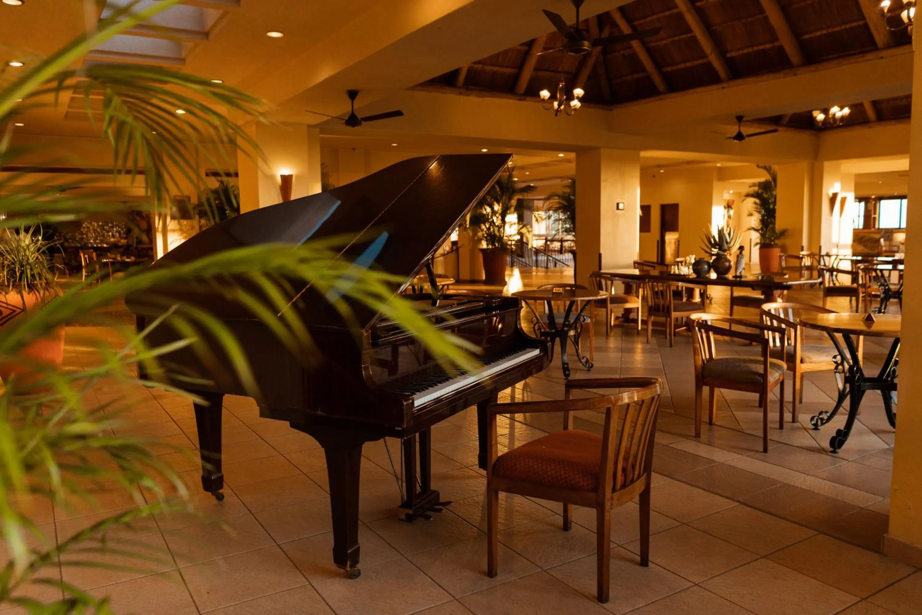 Restaurant/places to eat in Elephant Hills Resort