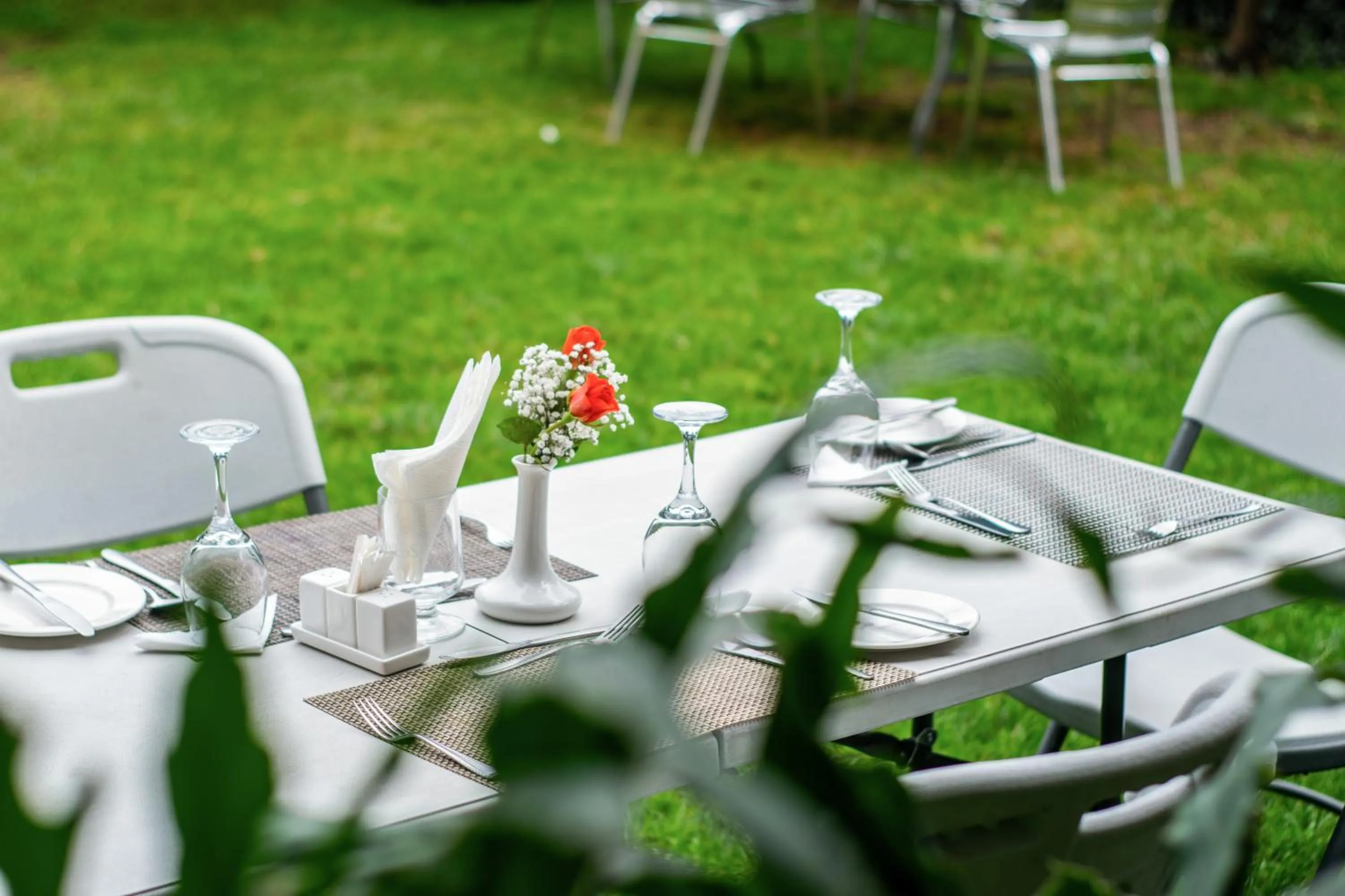 Garden in Astorian Grand Hotel Naivasha