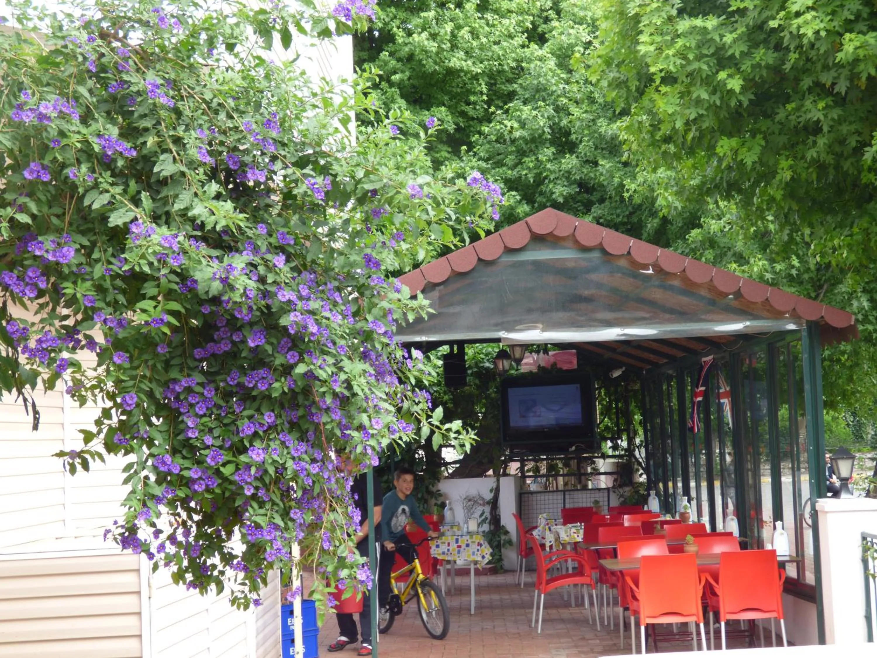 Area and facilities in Avlu 4