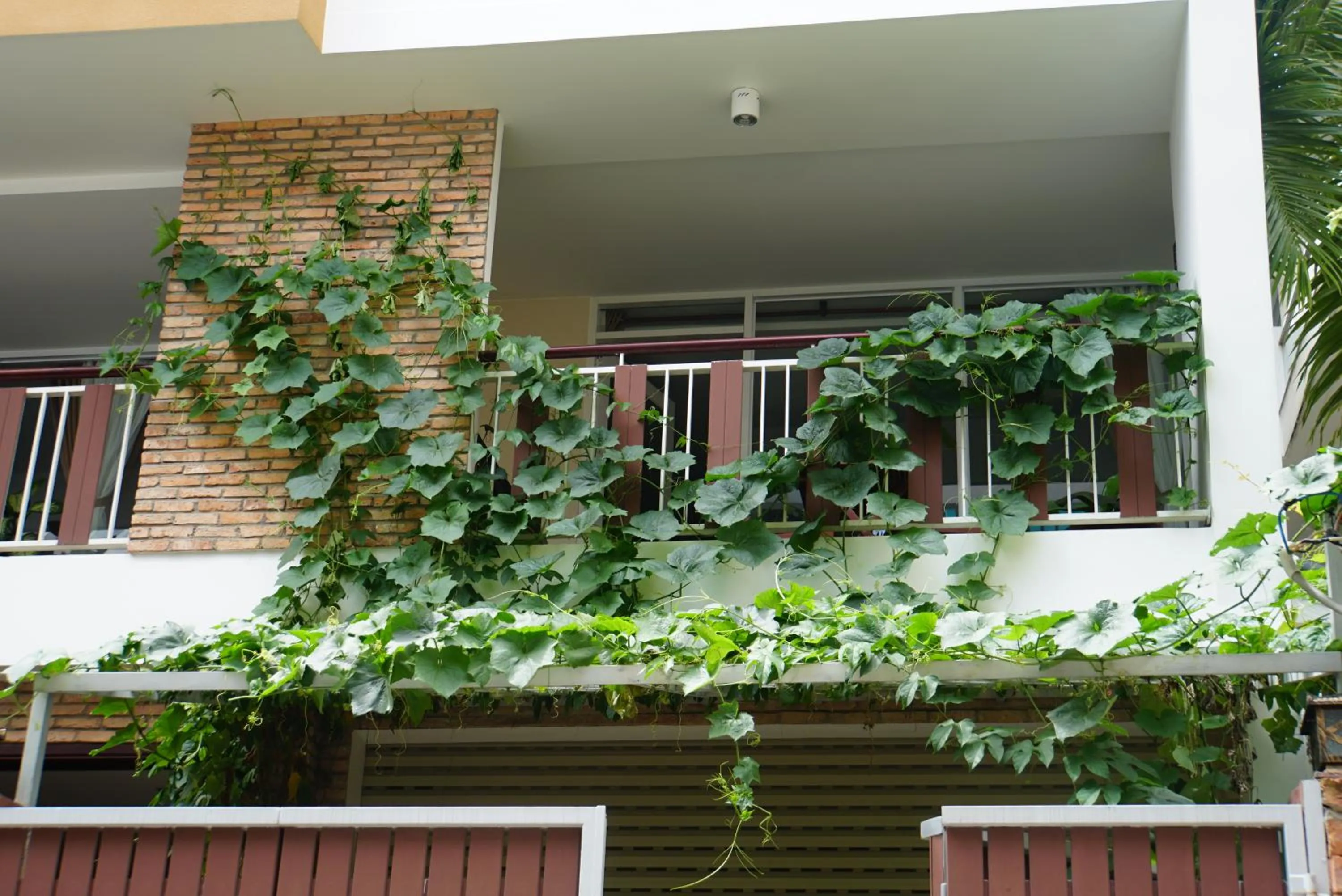 Property building in Ananas Family Hotel