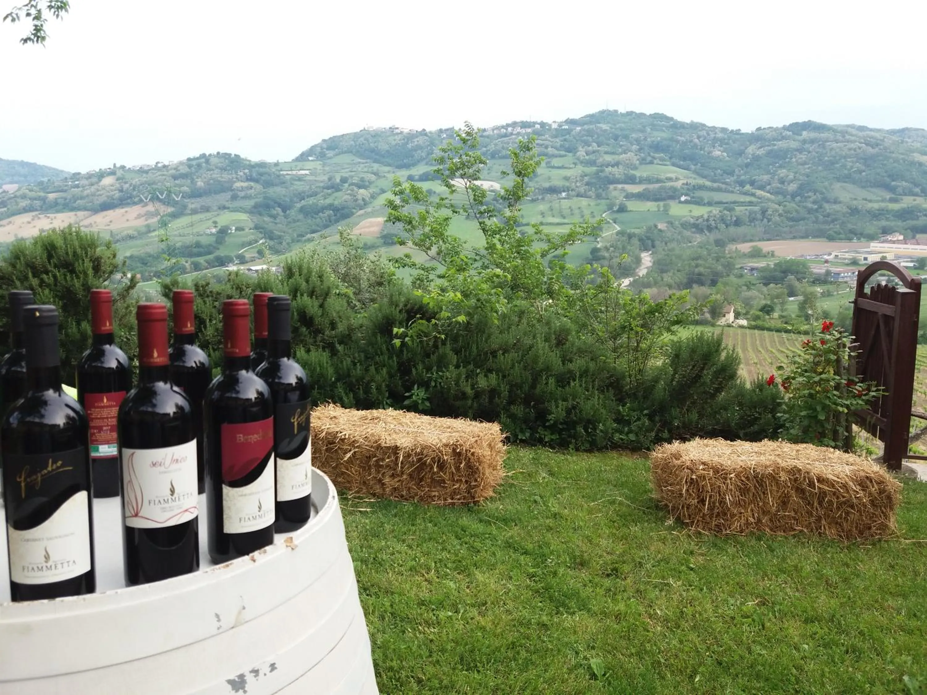 Off site in Hotel Haarlem