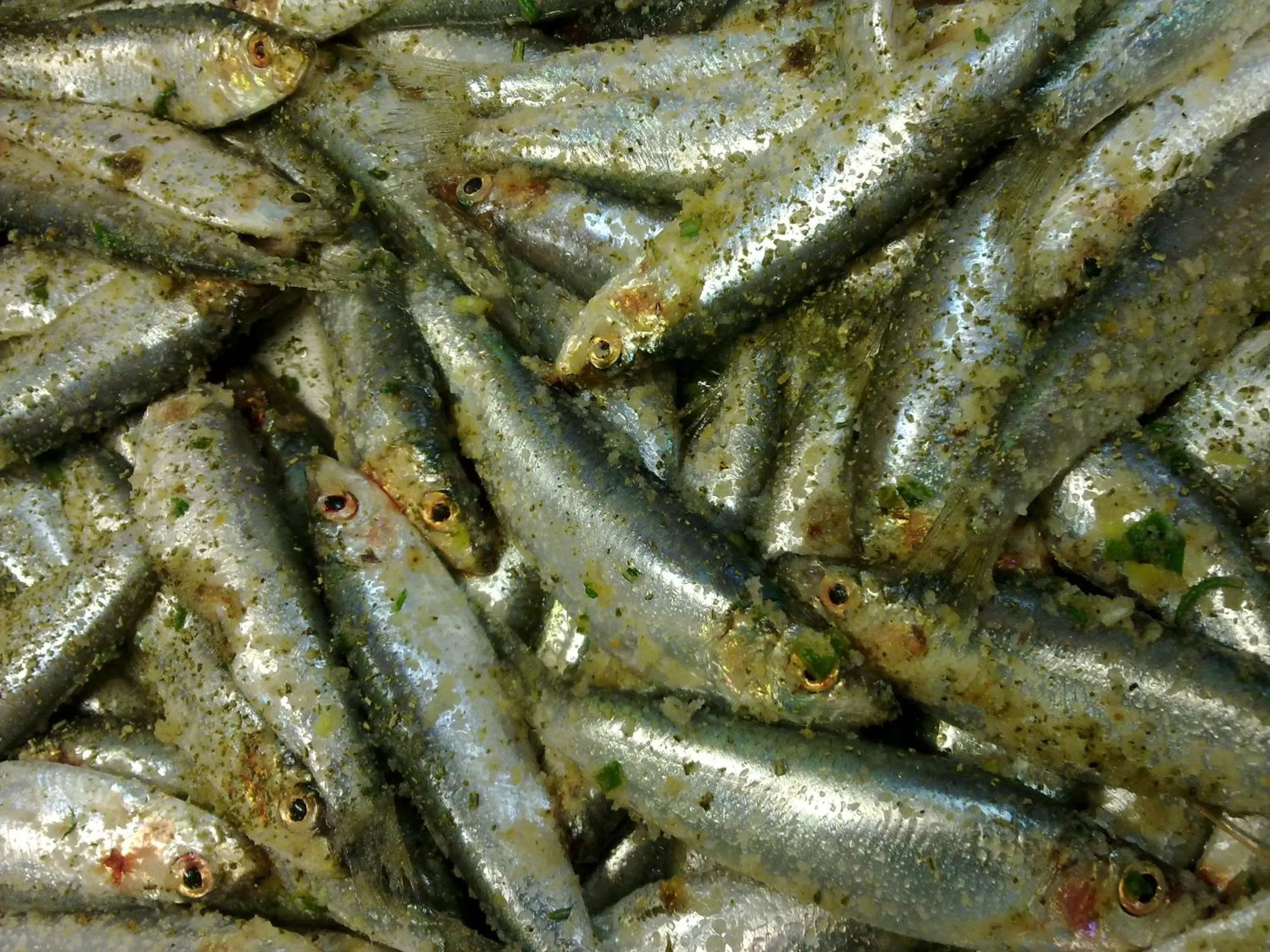 Restaurant/places to eat in Hotel Haarlem