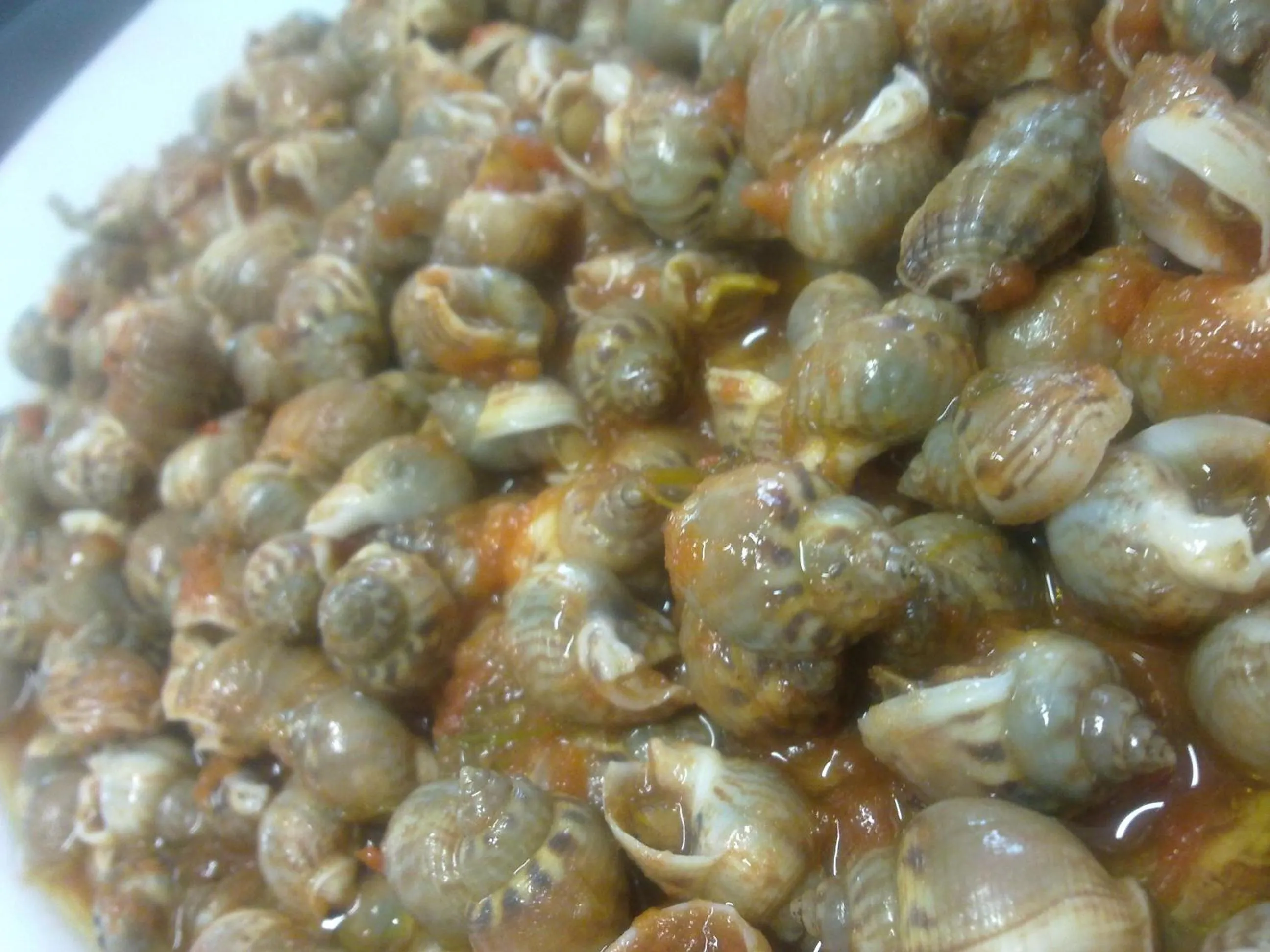 Restaurant/places to eat in Hotel Haarlem