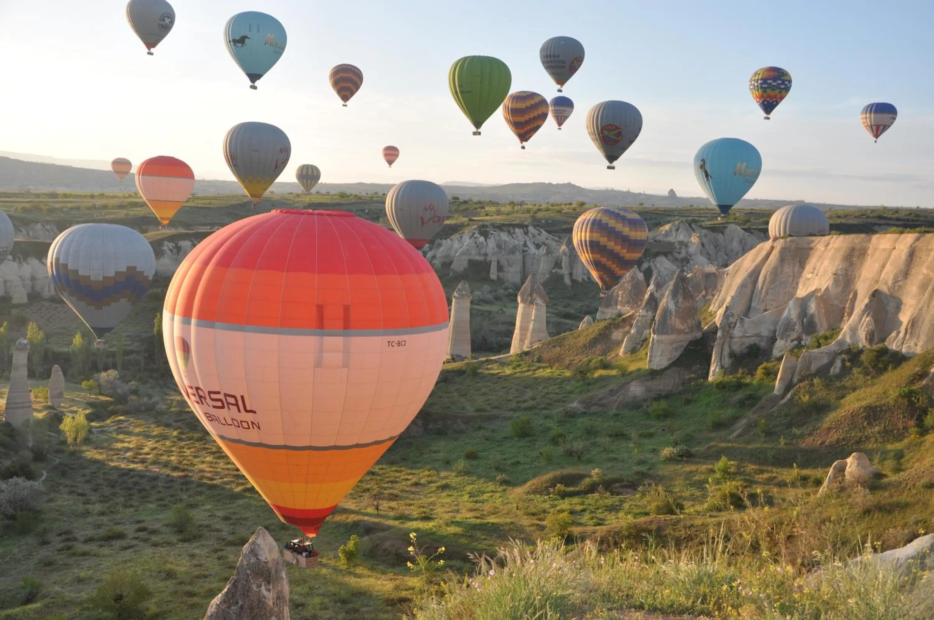 Property building in Coco Cave