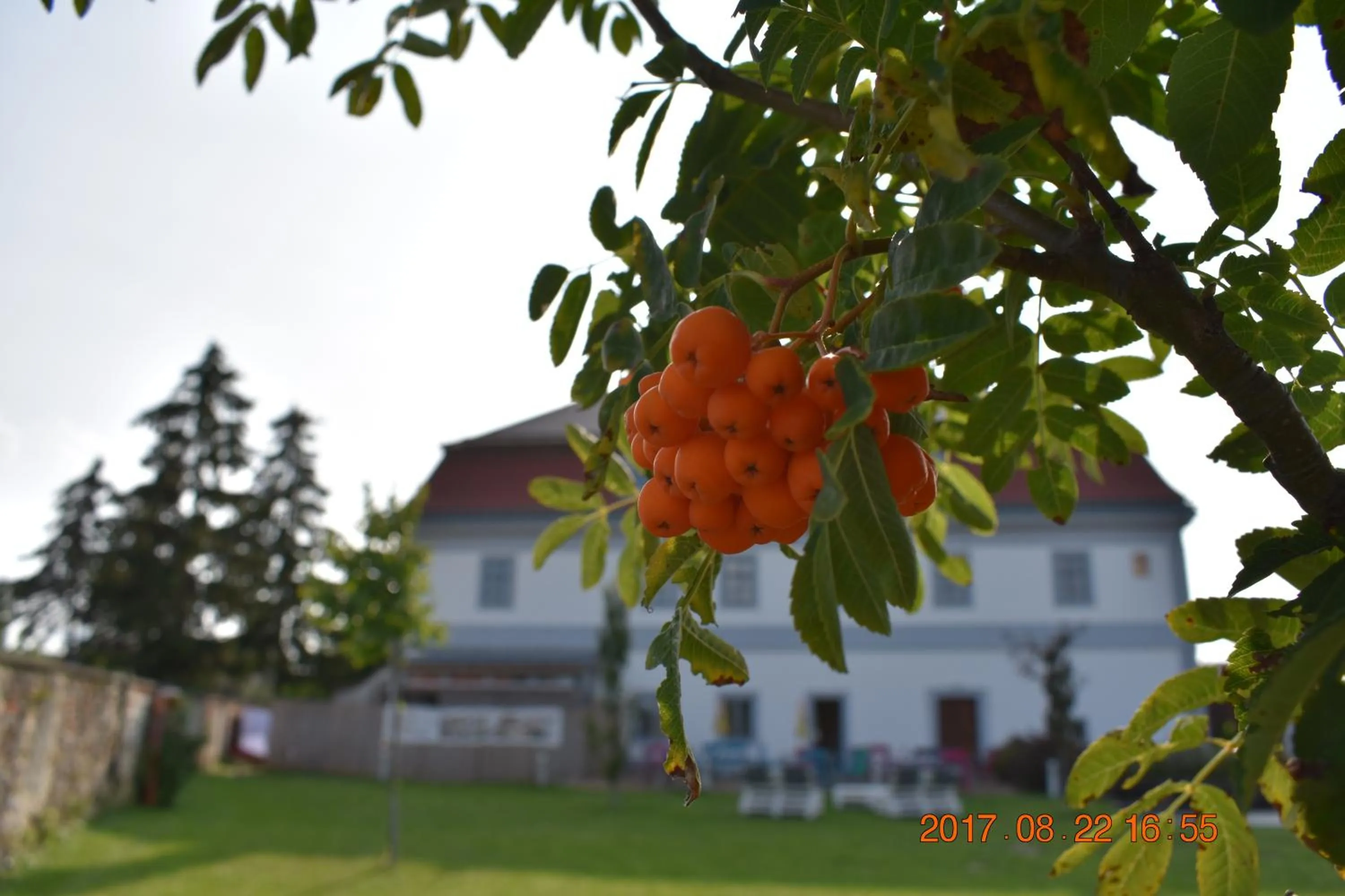 Bagolyvár Fogadó- Újfalusy Márton Vendégház