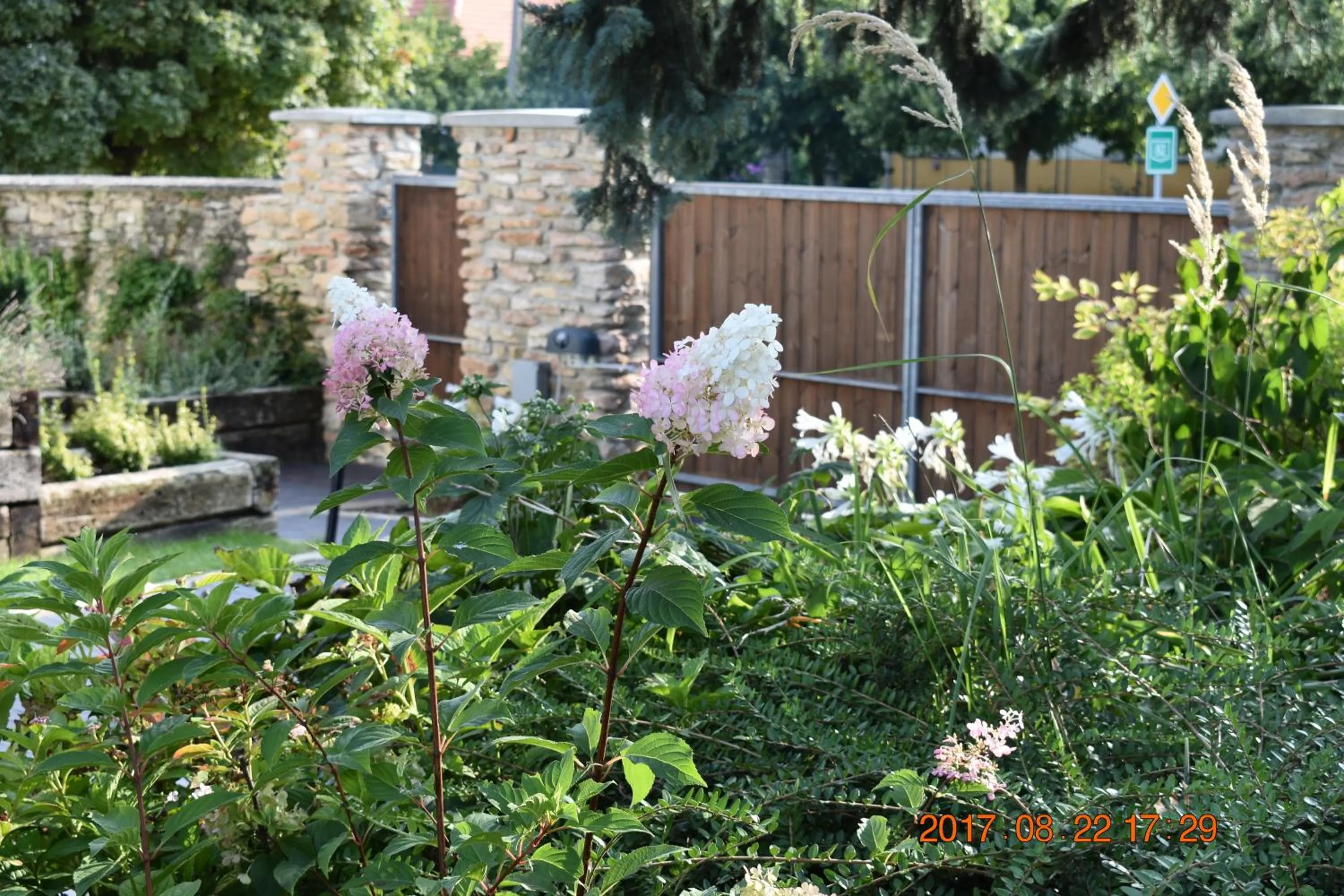 Bagolyvár Fogadó- Újfalusy Márton Vendégház