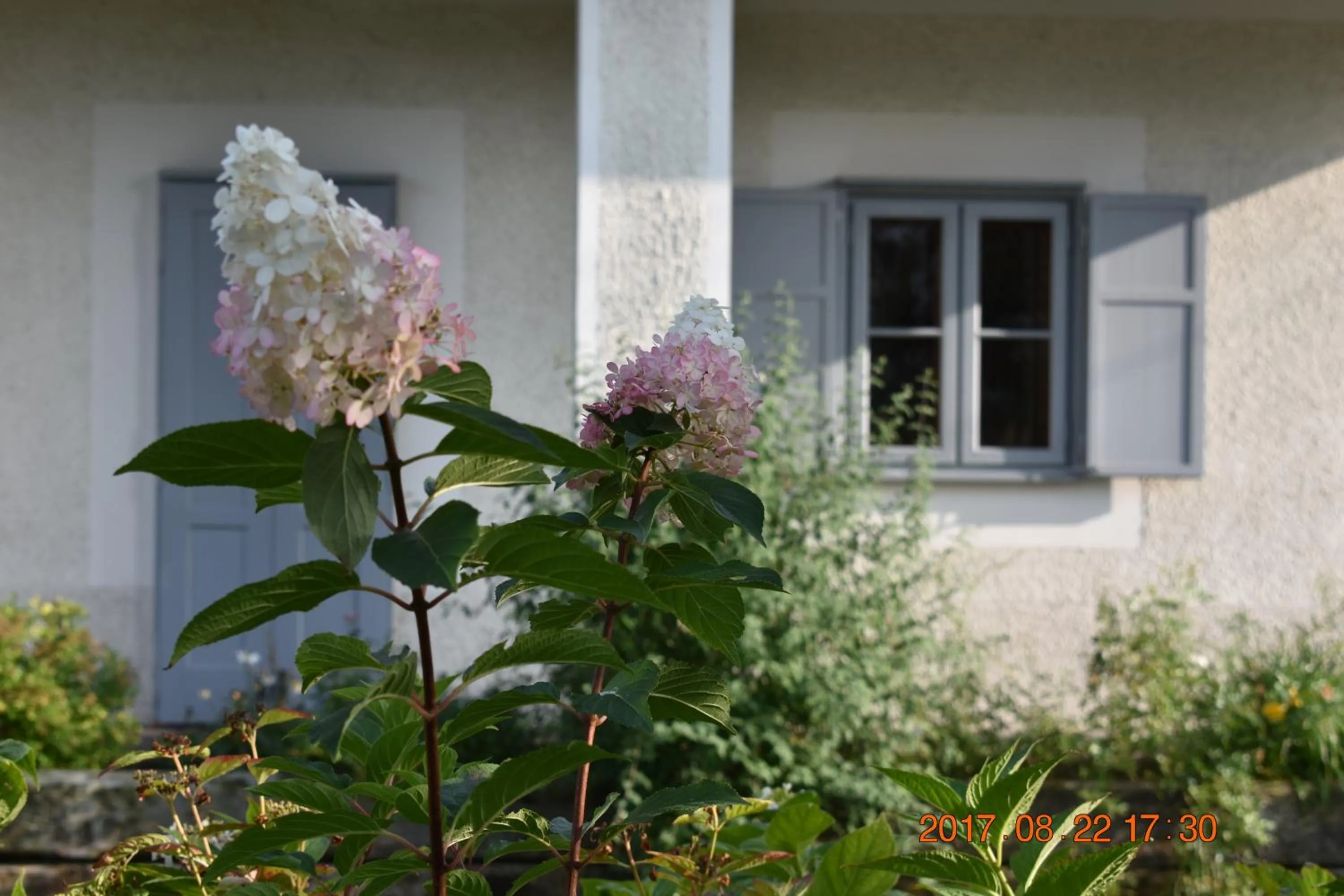 Bagolyvár Fogadó- Újfalusy Márton Vendégház