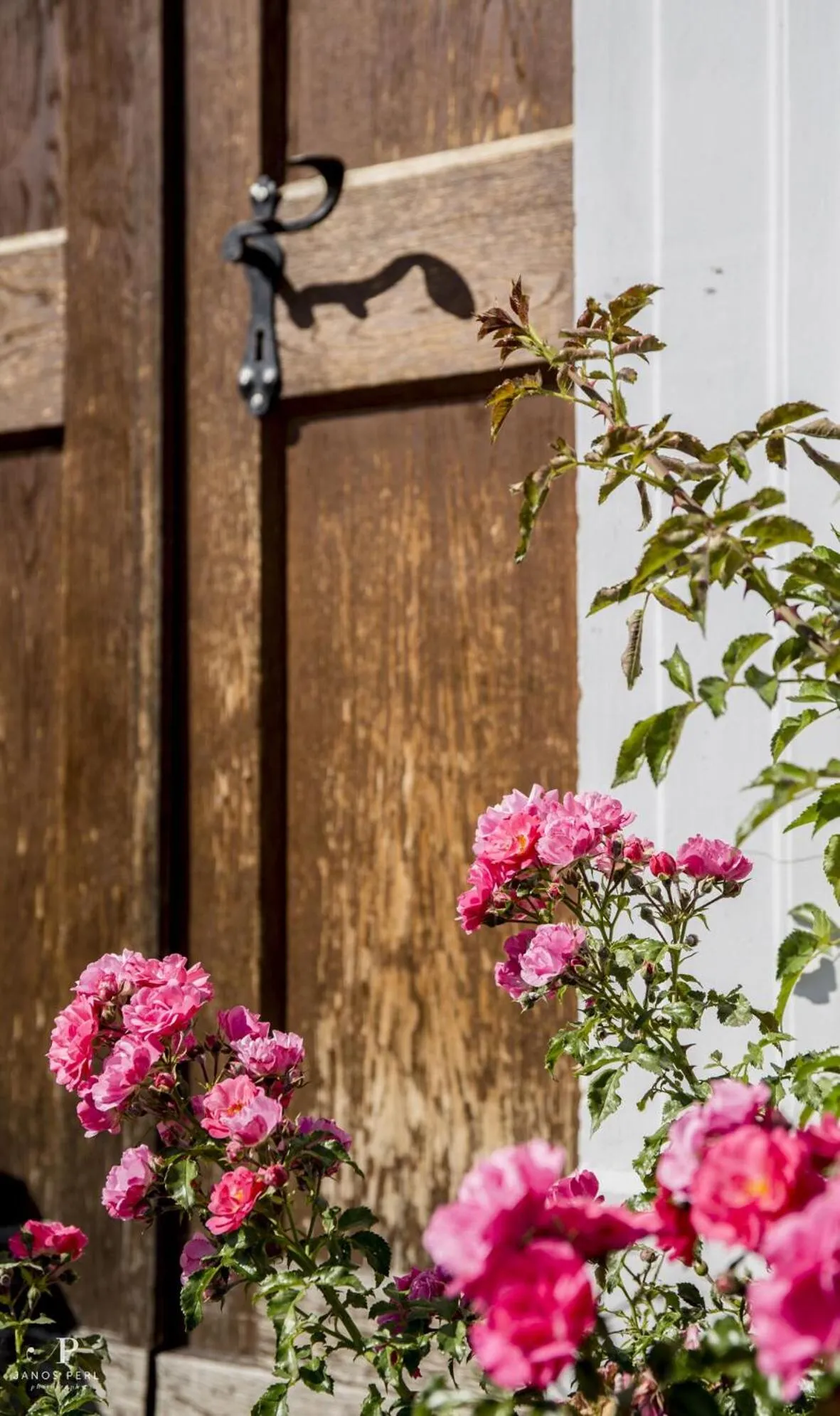 Bagolyvár Fogadó- Újfalusy Márton Vendégház