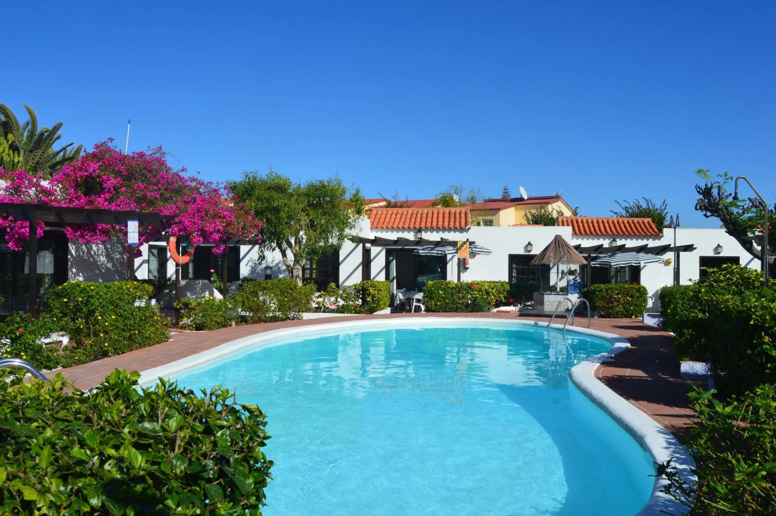 Garden in La Concha del Mar