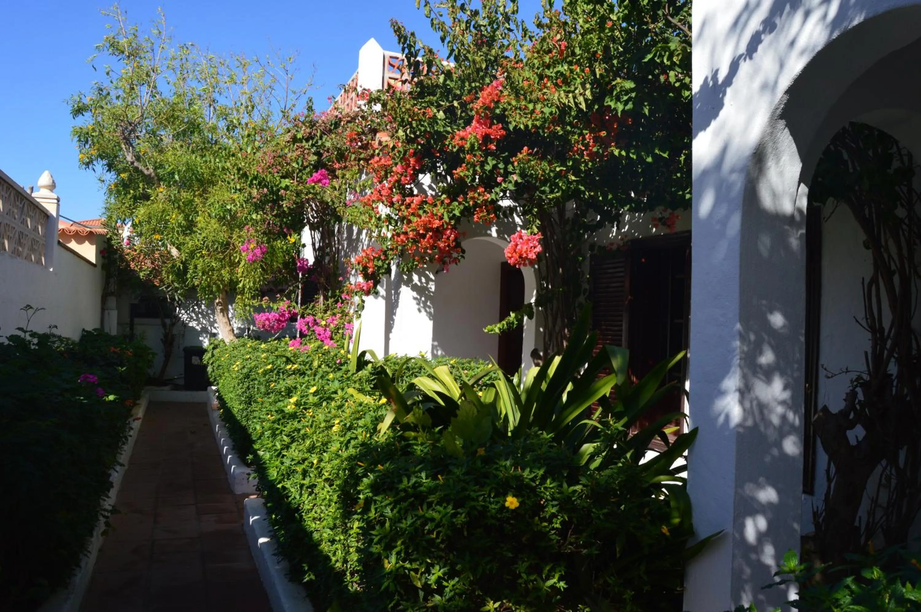 Spring in La Concha del Mar