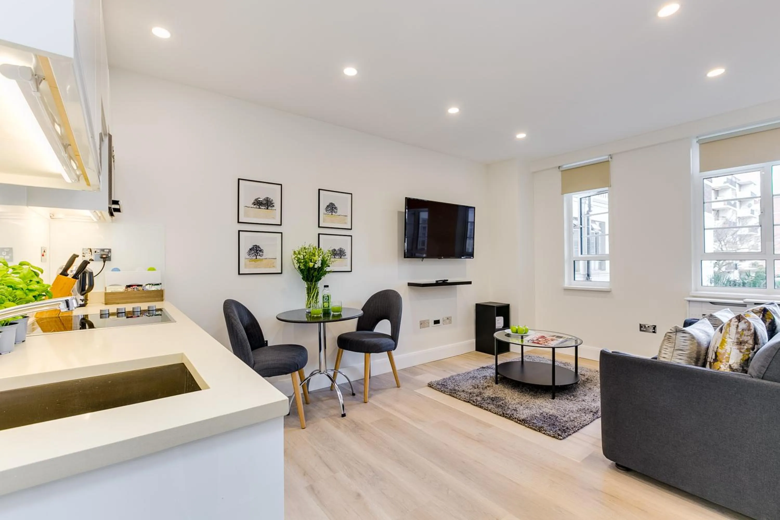 TV and multimedia in Nell Gwynn Chelsea Accommodation