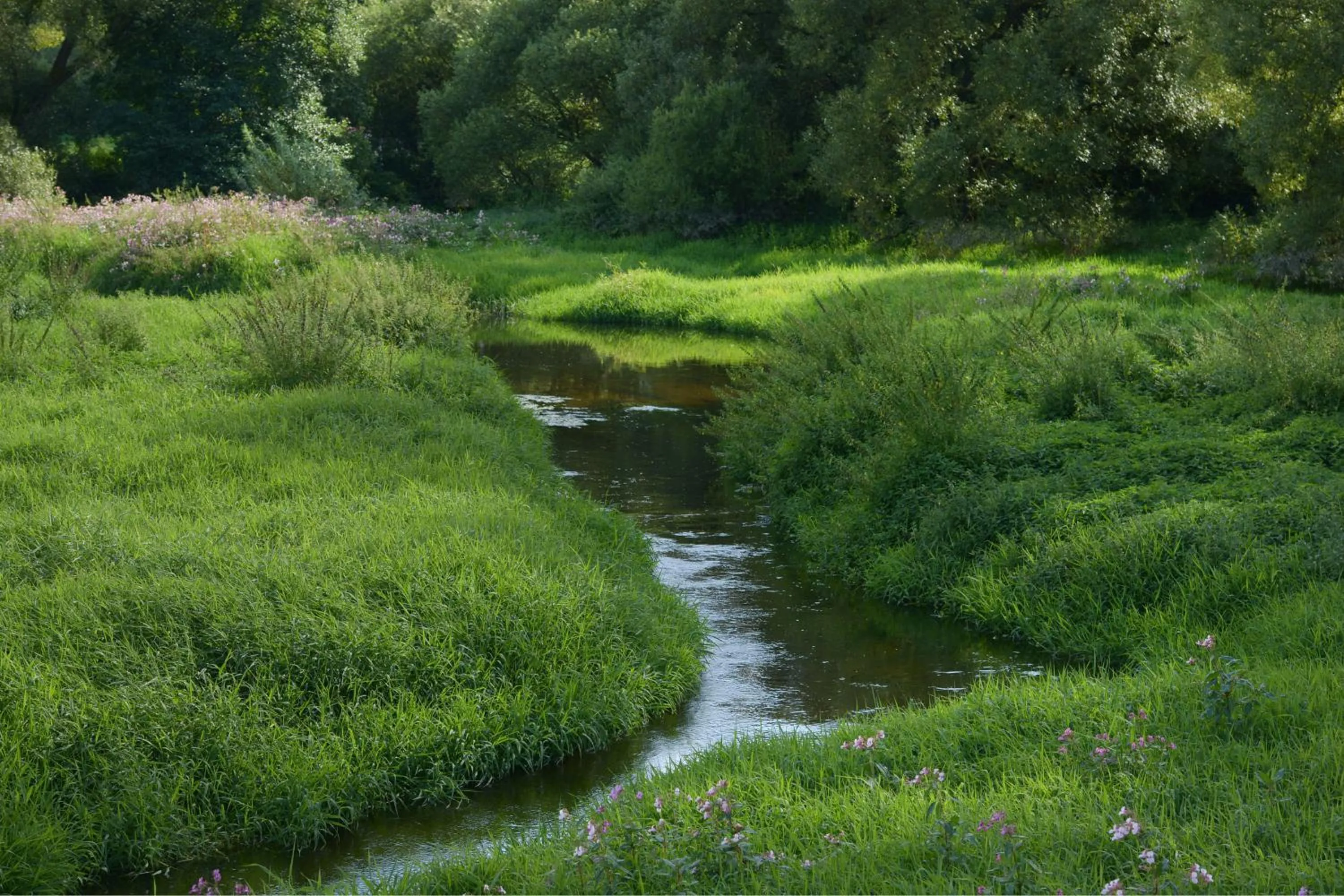 Day in Hotel am Regenbogen