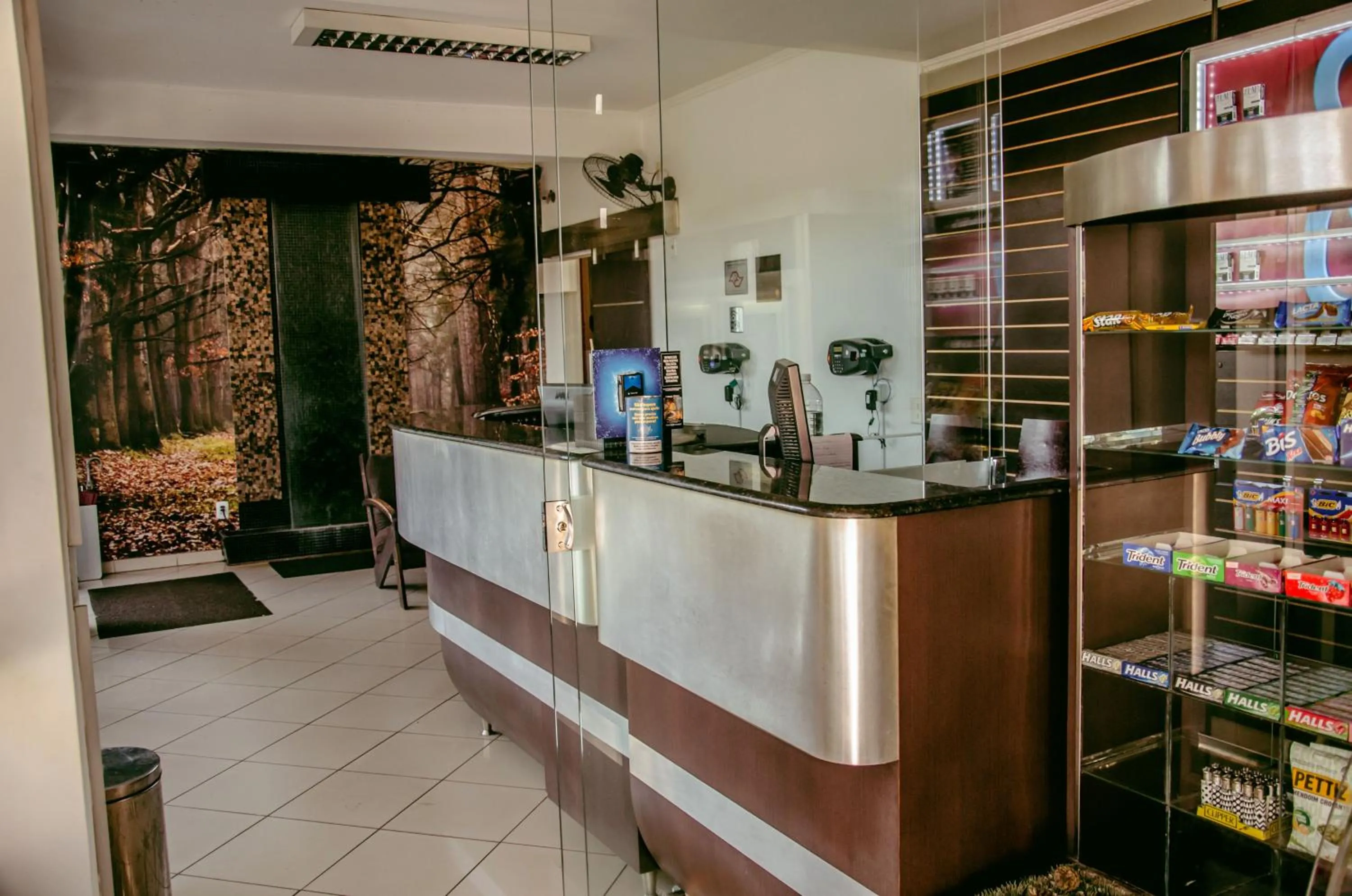 Lobby or reception in Hotel Pousada Do Leão