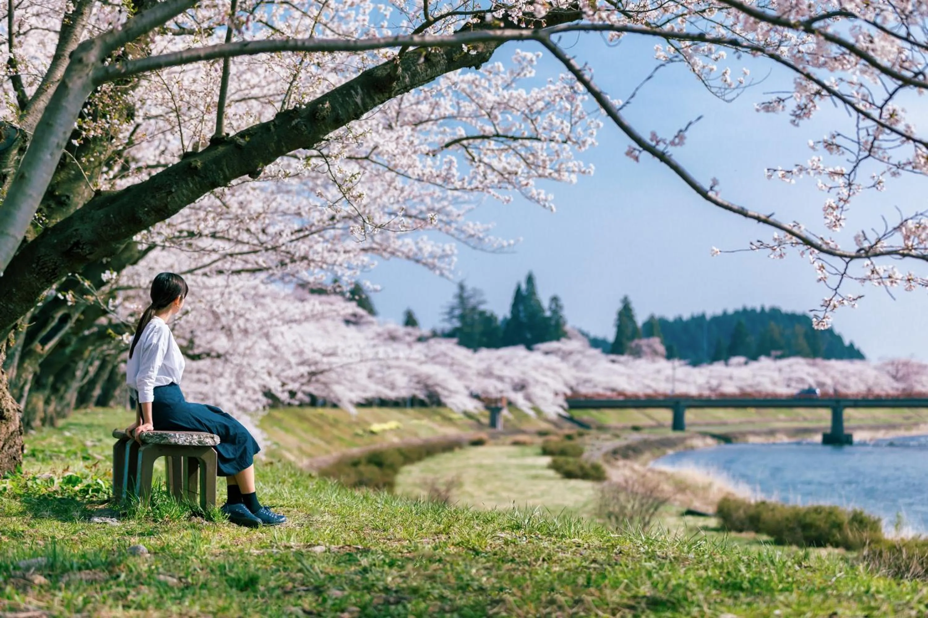 Nearby landmark in Tazawako Lake Resort & Onsen