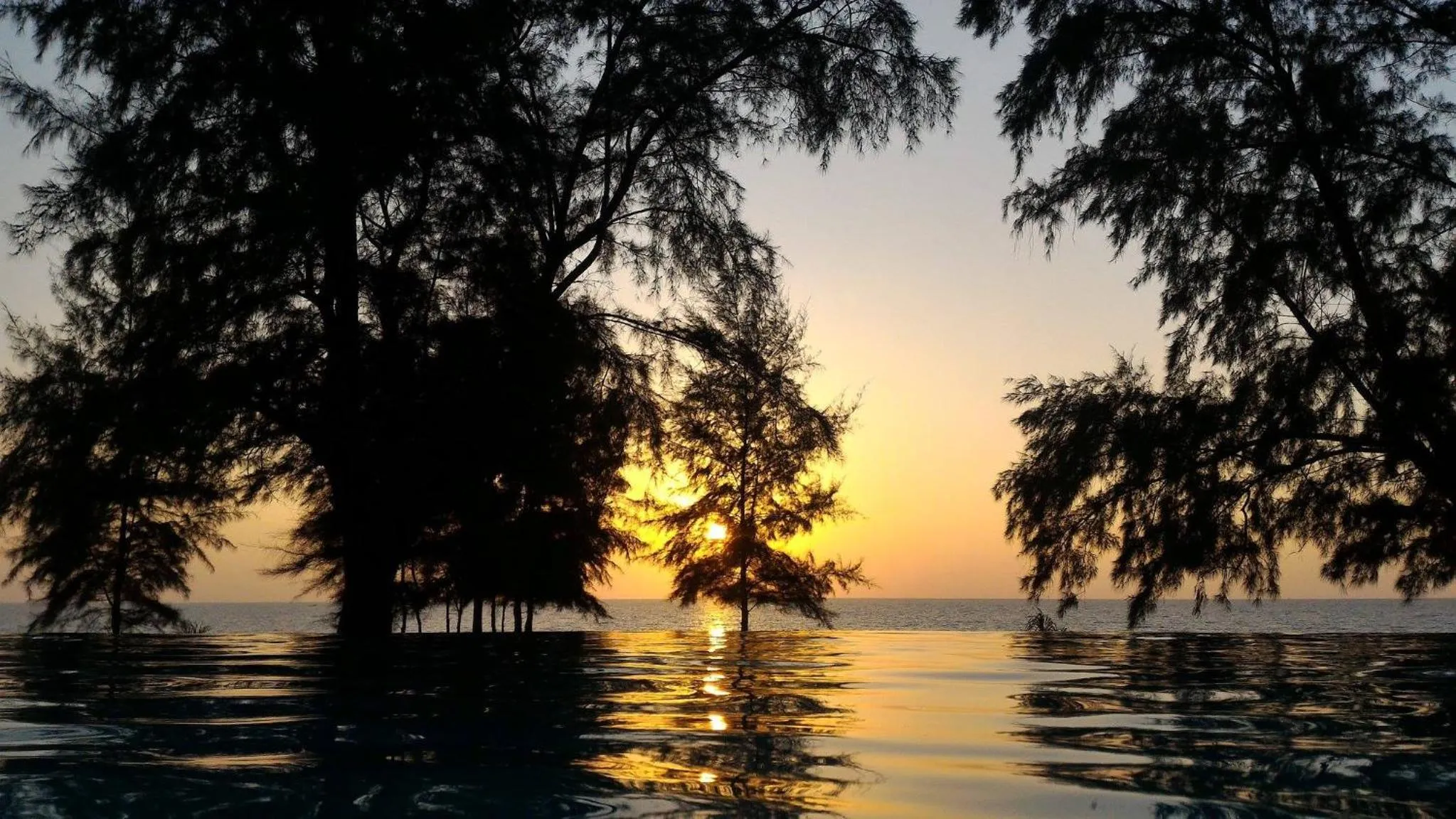 Natural landscape in Coriacea Beachfront Boutique Phuket Resort