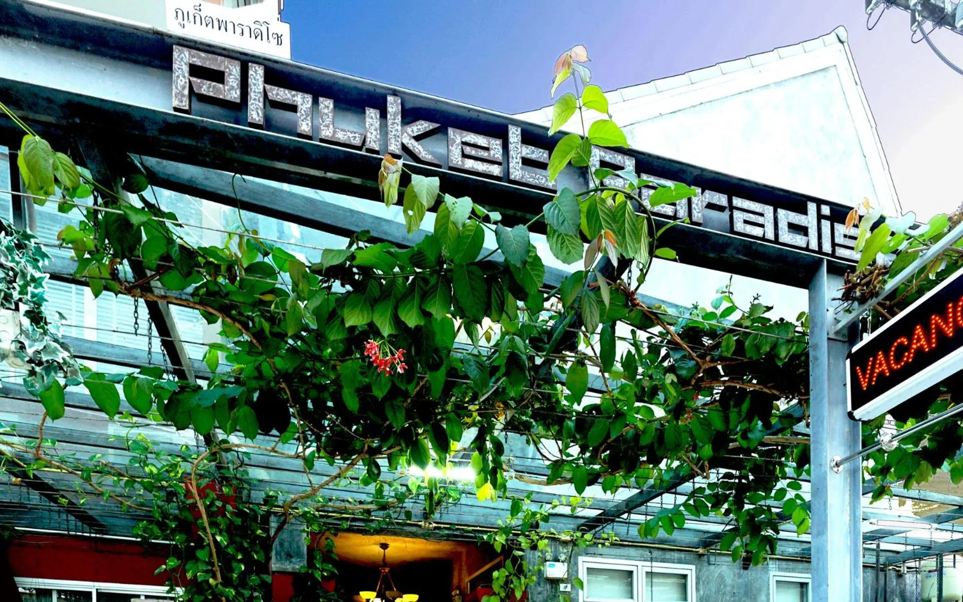 Property building in Phuket Paradiso