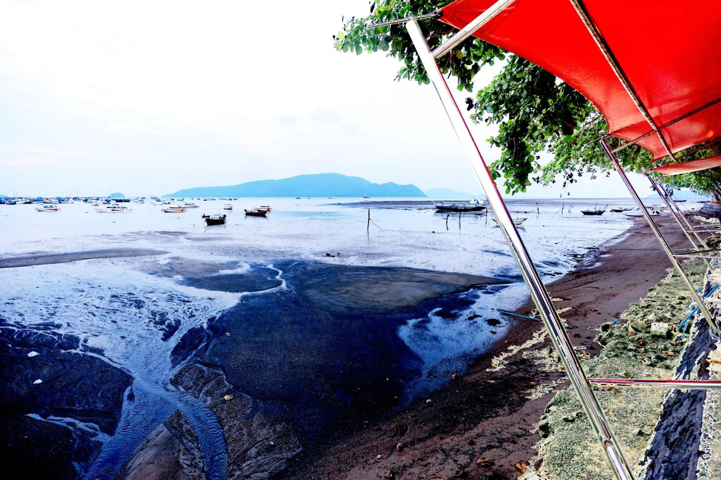 Beach in Phuket Paradiso