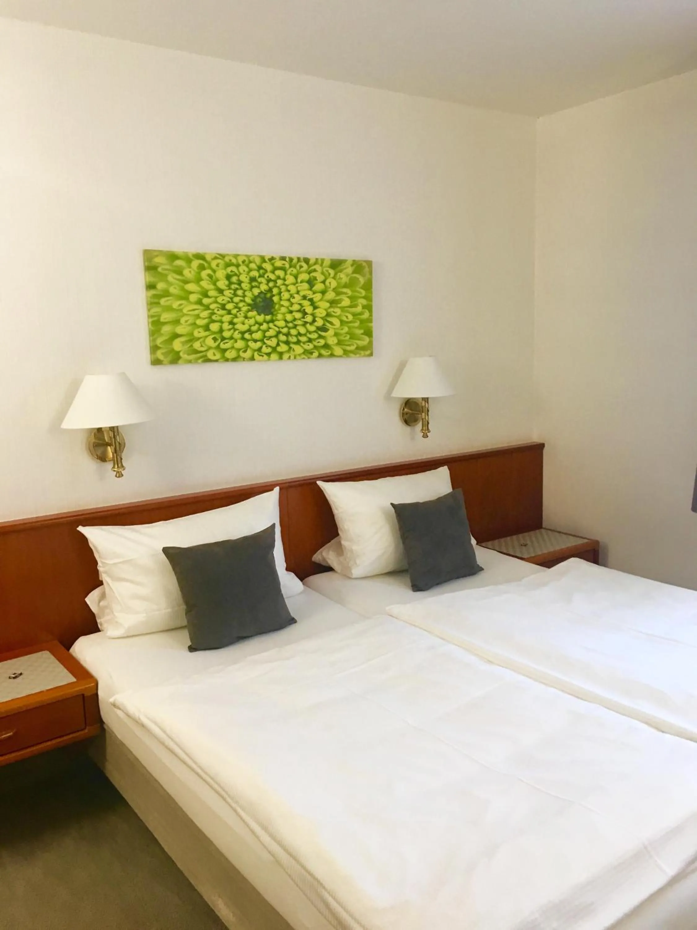 Double Room in Hotel Garni Vierjahreszeiten