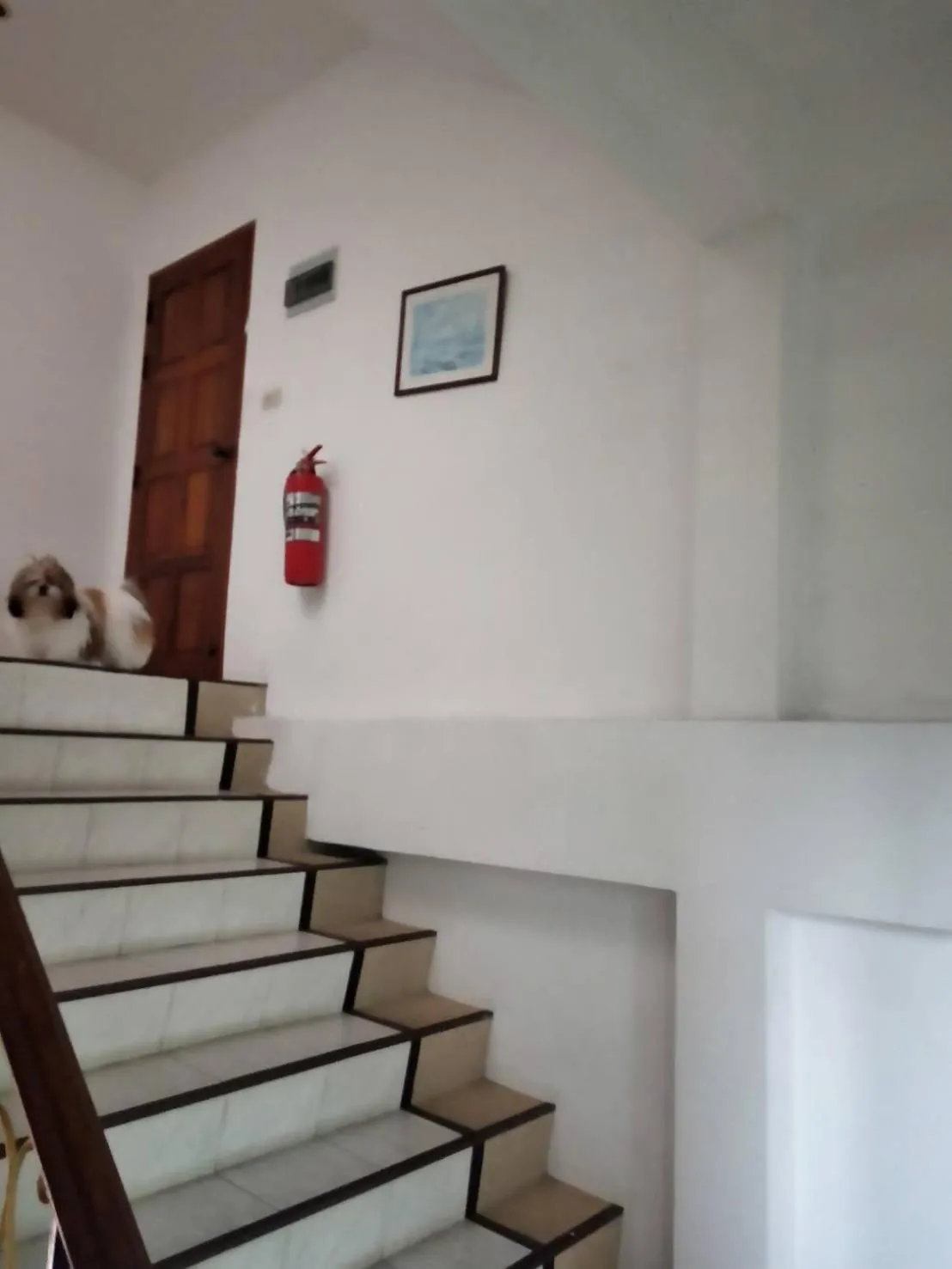 Ban Elephant Blanc Apartment