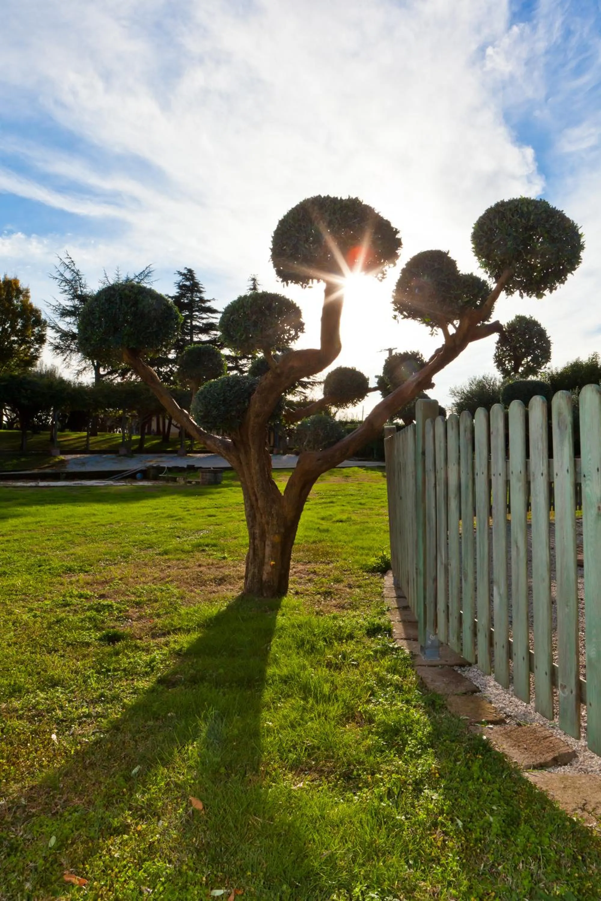 Garden in Aquilamaior
