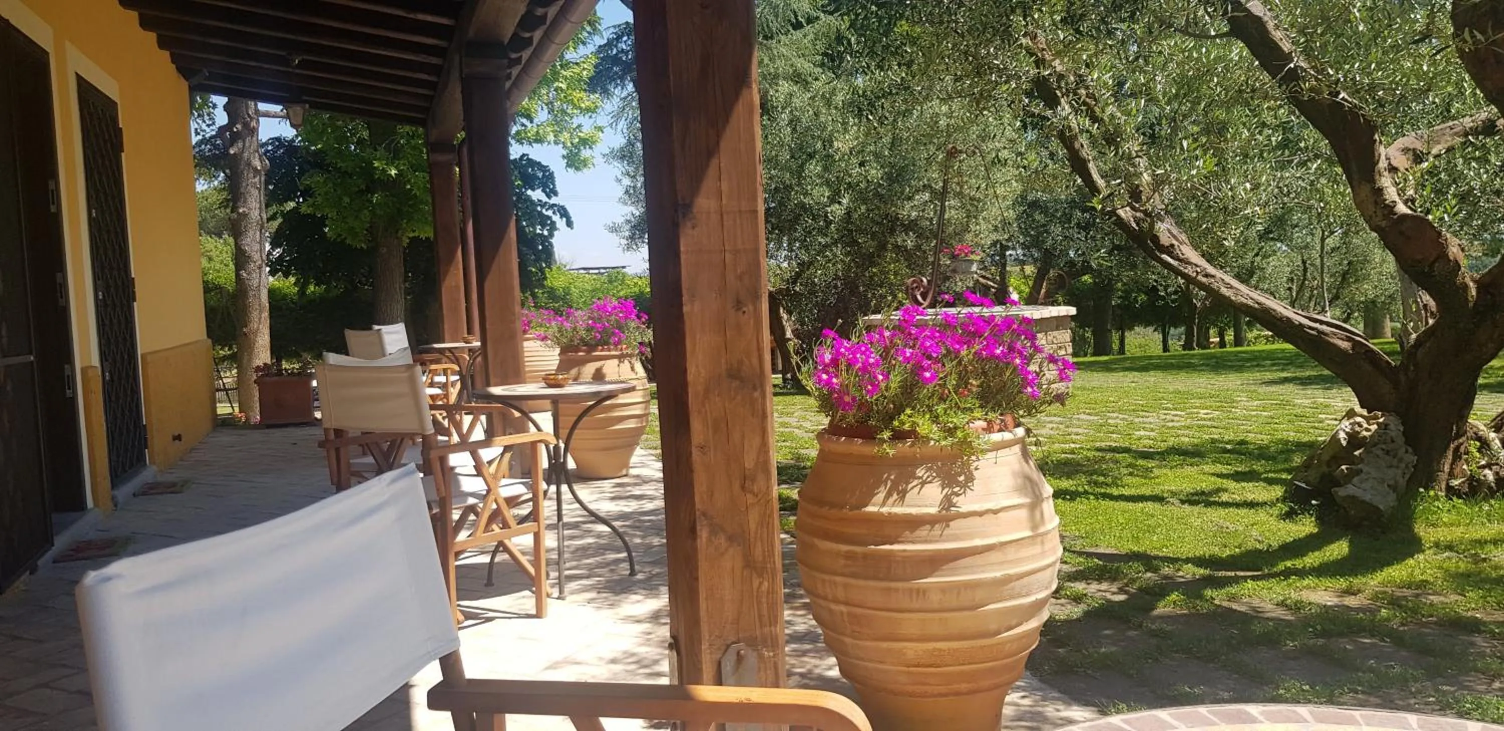 TV and multimedia in Aquilamaior