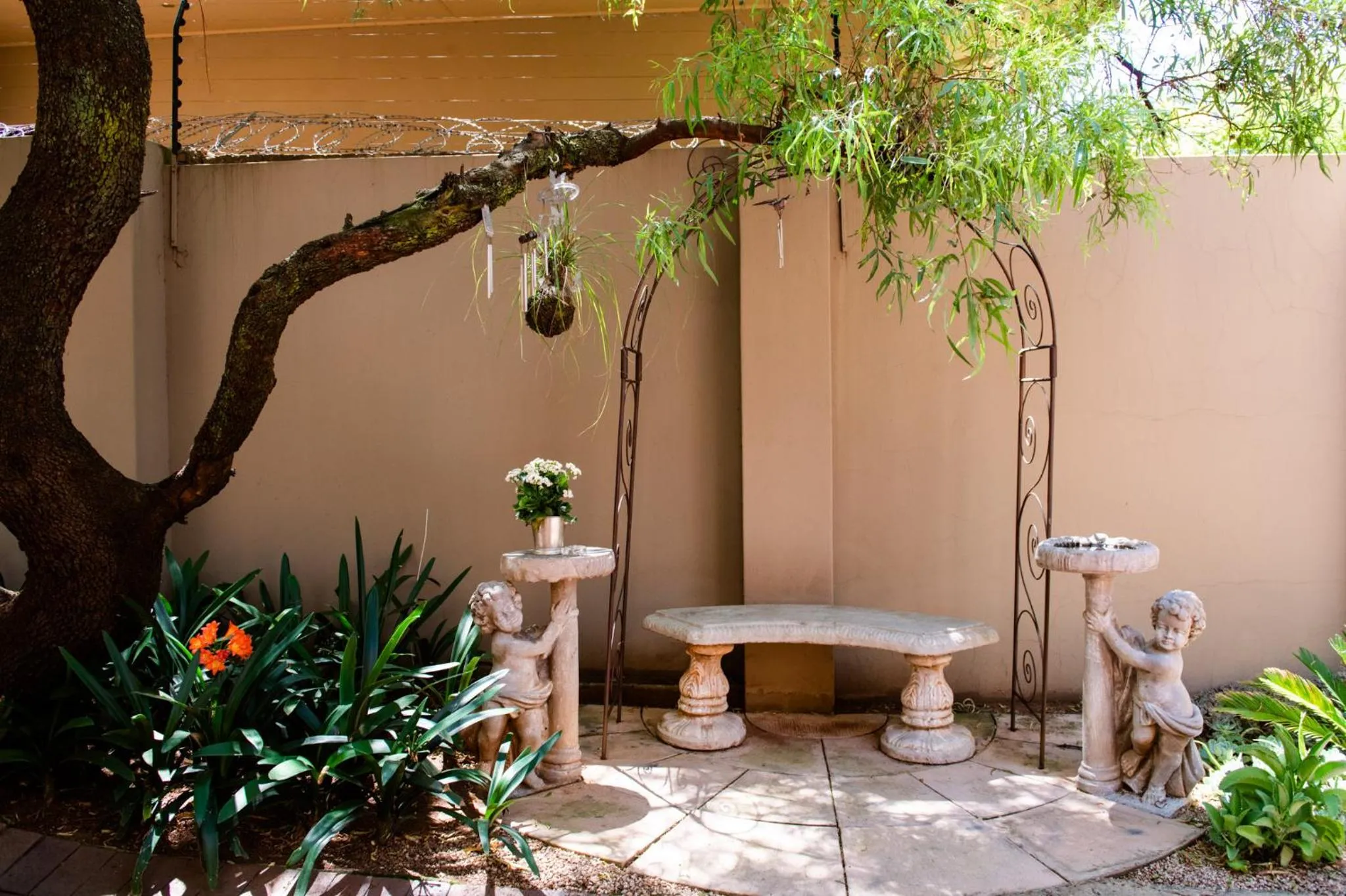 Garden in 37 on Charles