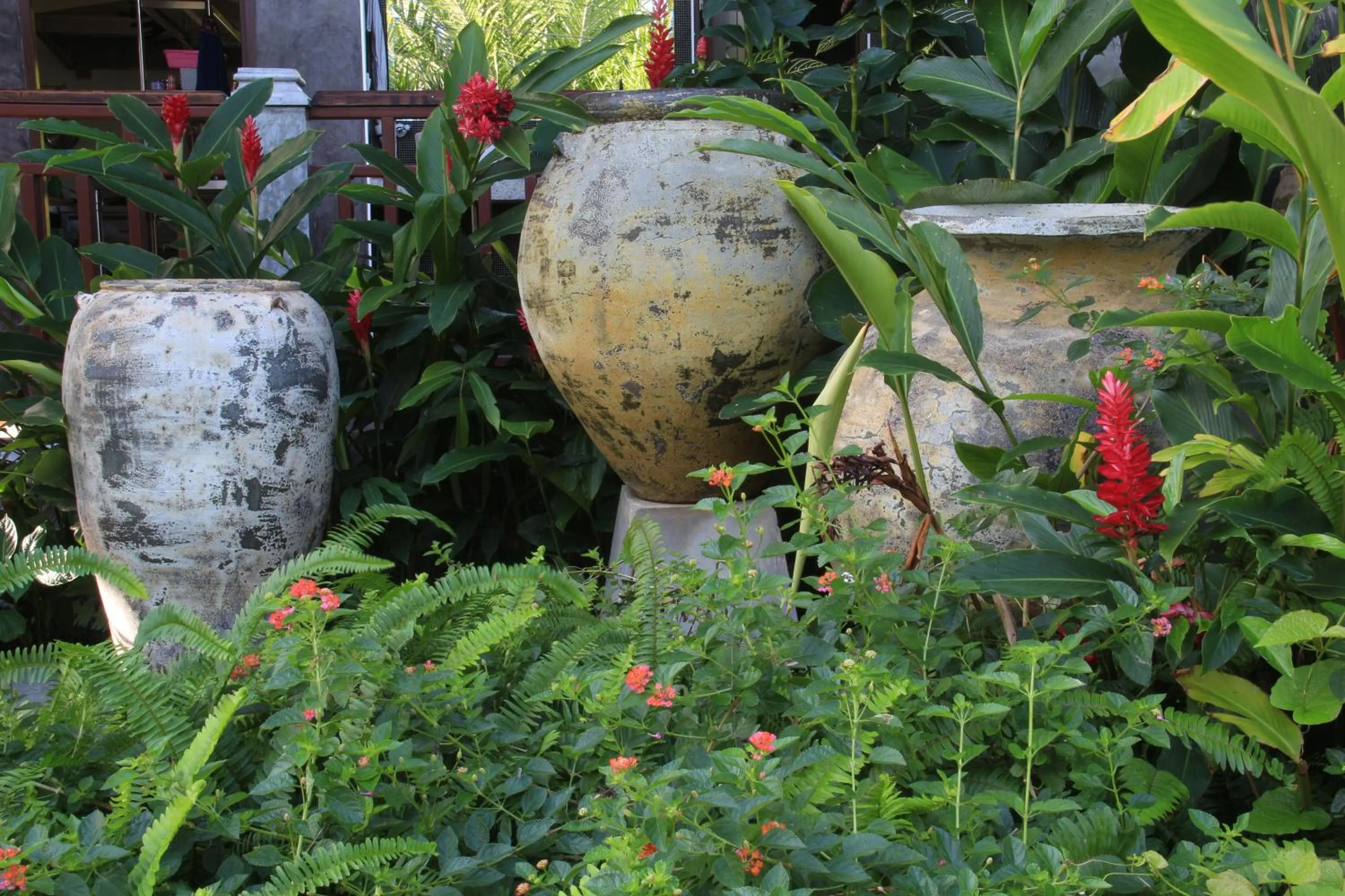 Garden in Arthaya Villas - SHA Extra Plus