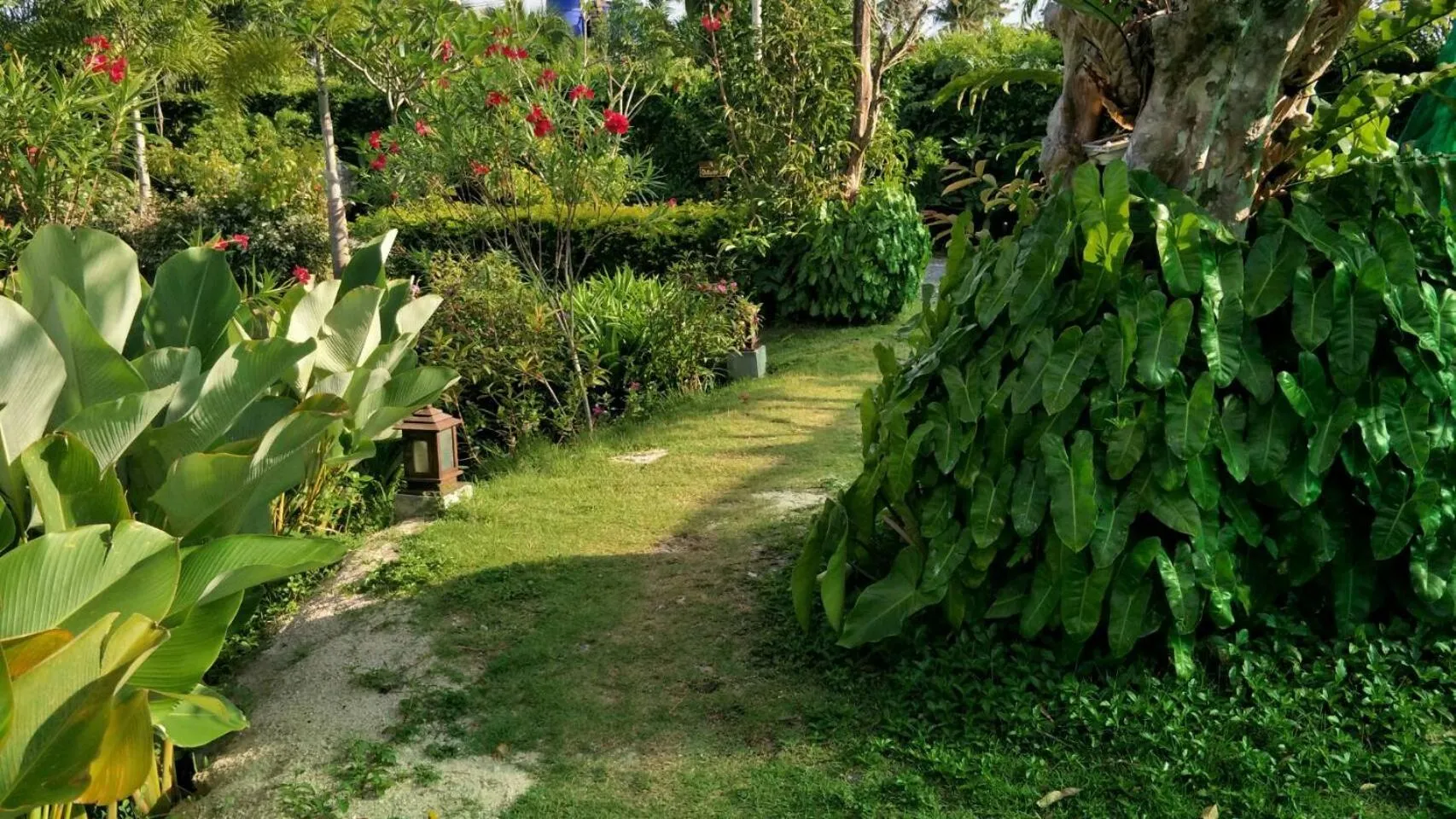 Natural landscape in Arthaya Villas - SHA Extra Plus