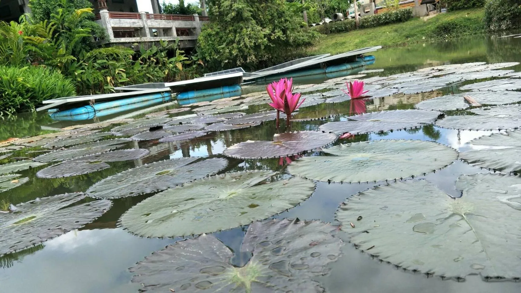 Arthaya Villas - SHA Extra Plus