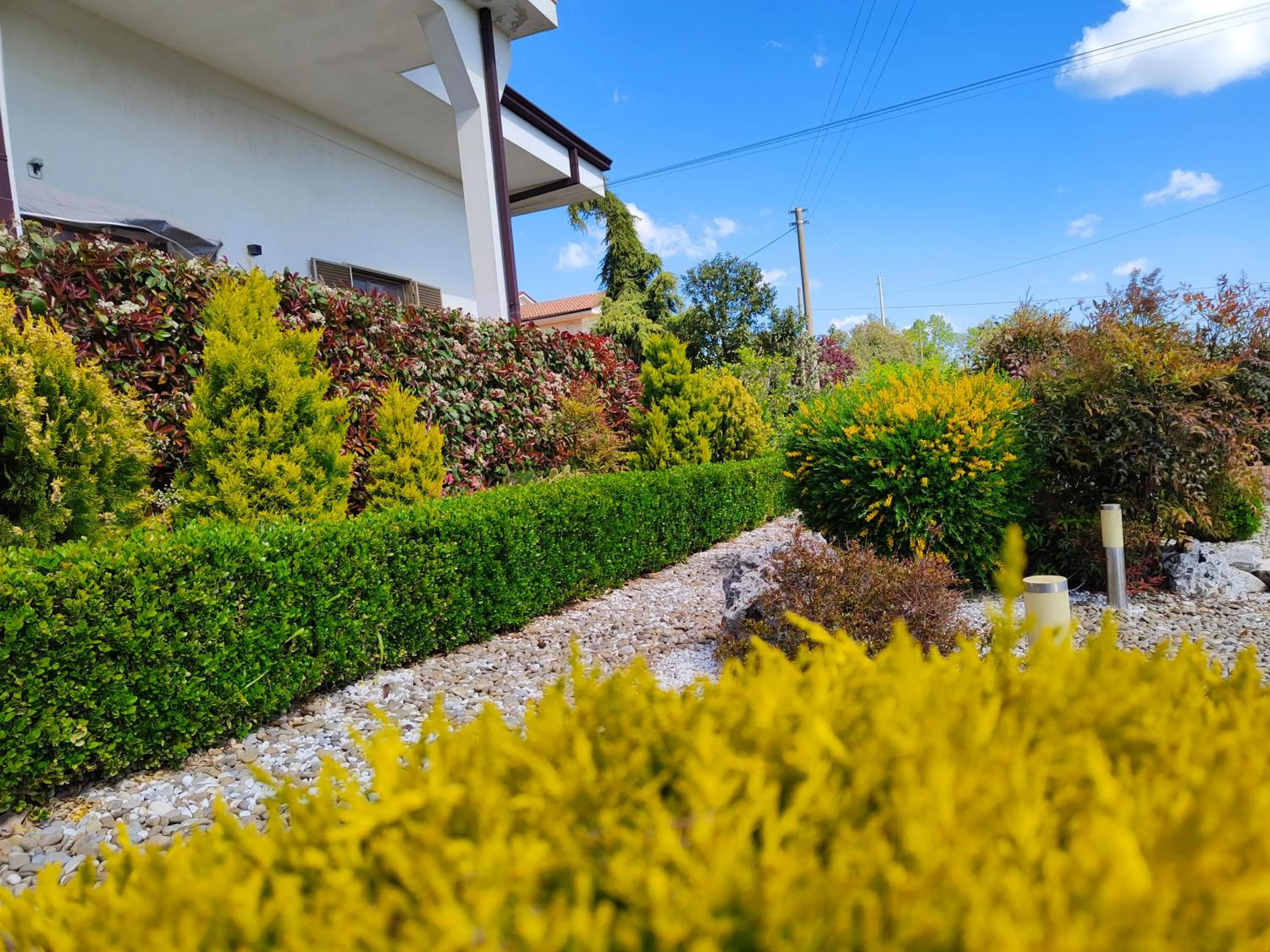 Garden in Mamma Puglia Suite & Breakfast
