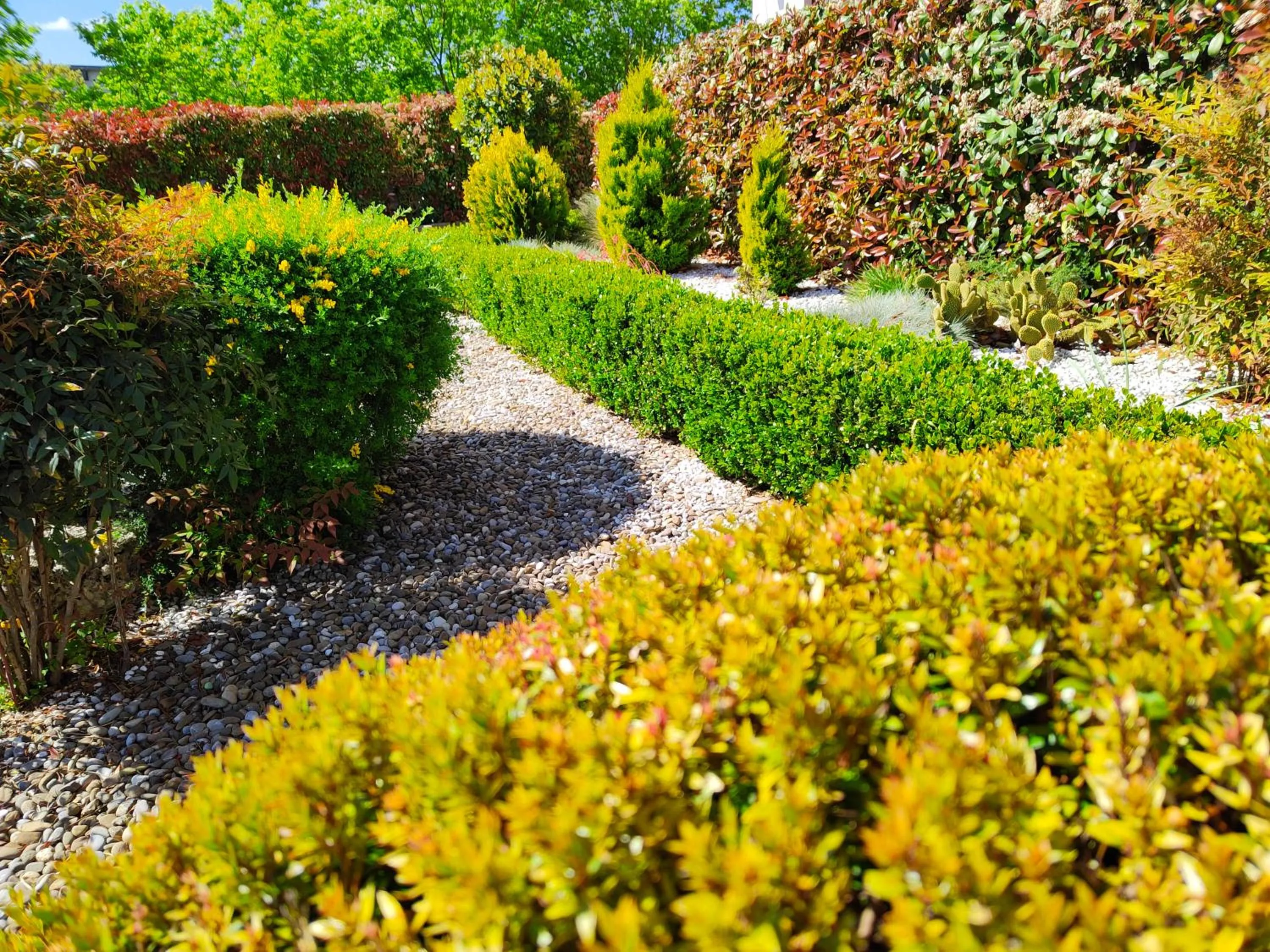 Garden view in Mamma Puglia Suite & Breakfast