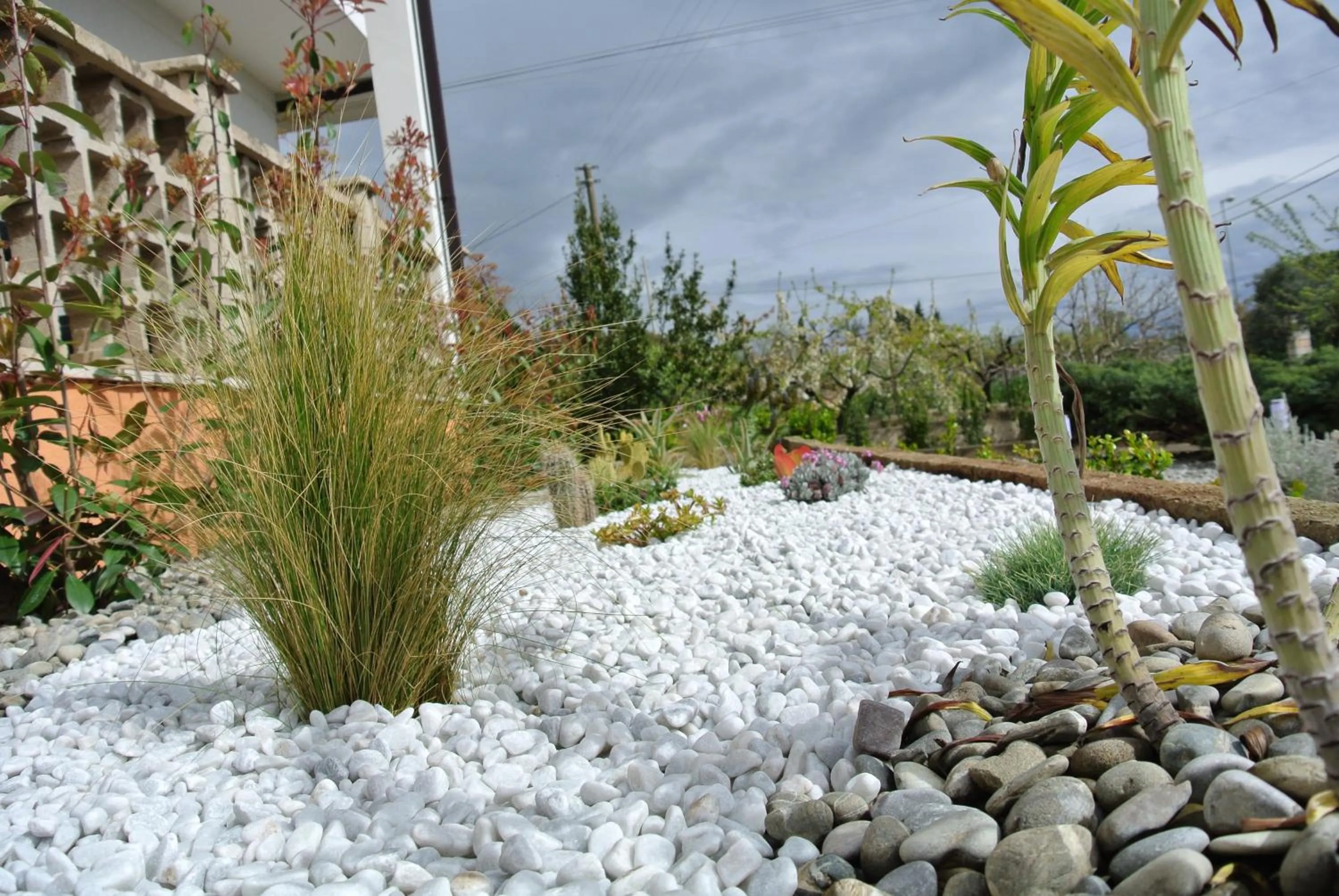Garden view in Mamma Puglia Suite & Breakfast
