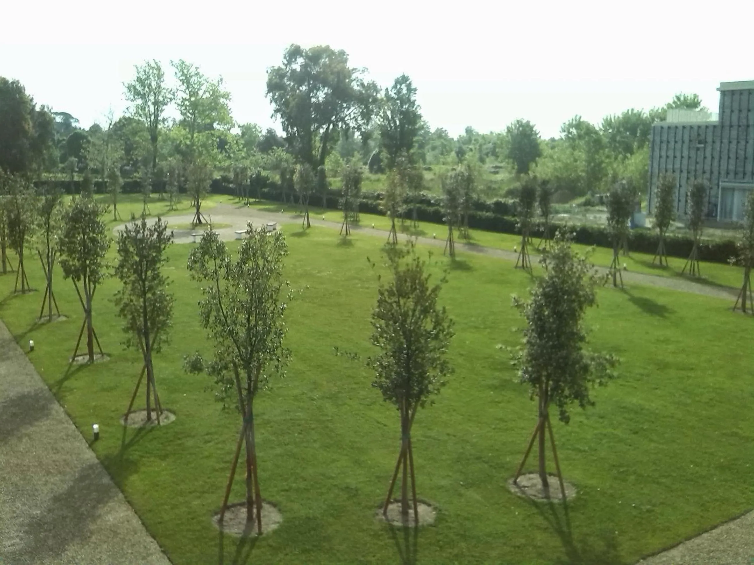 Natural landscape in Eliopoli Beach Hostel & Restaurant